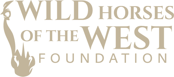 Wild Horses of the West