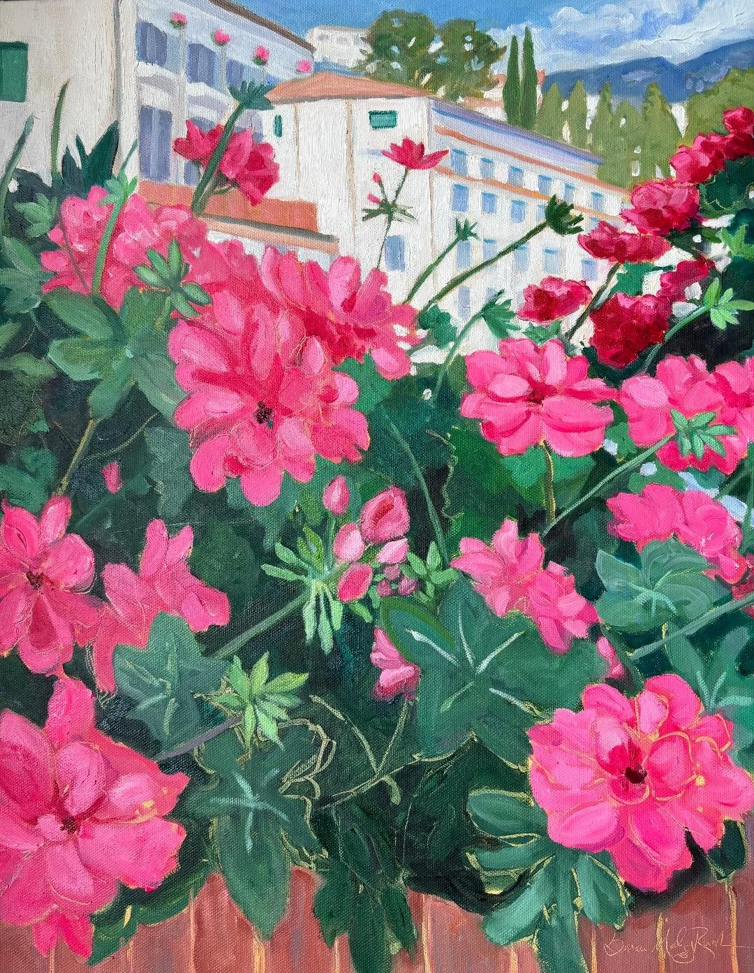 pink geraniums.jpg