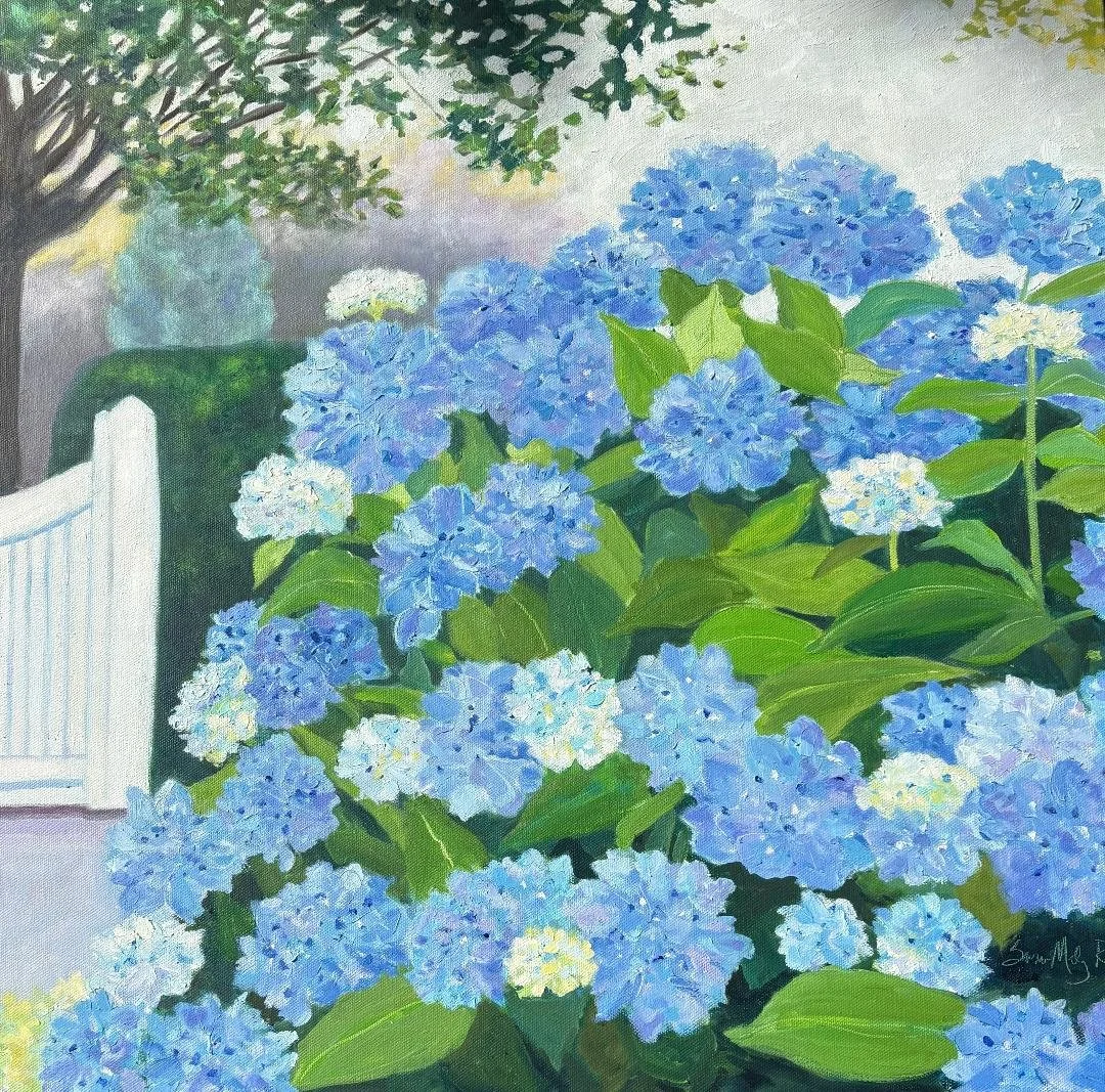 white fence and hydrangeas.jpg