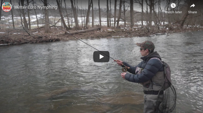 Winter Euro Nymphing — Trout Yeah, Fly Fishing Guide Service