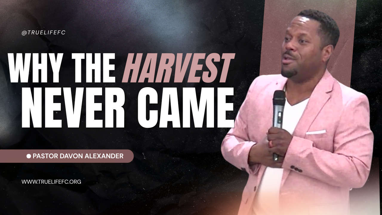 Why The Harvest Never Came