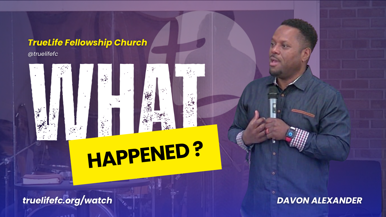 What Happened?