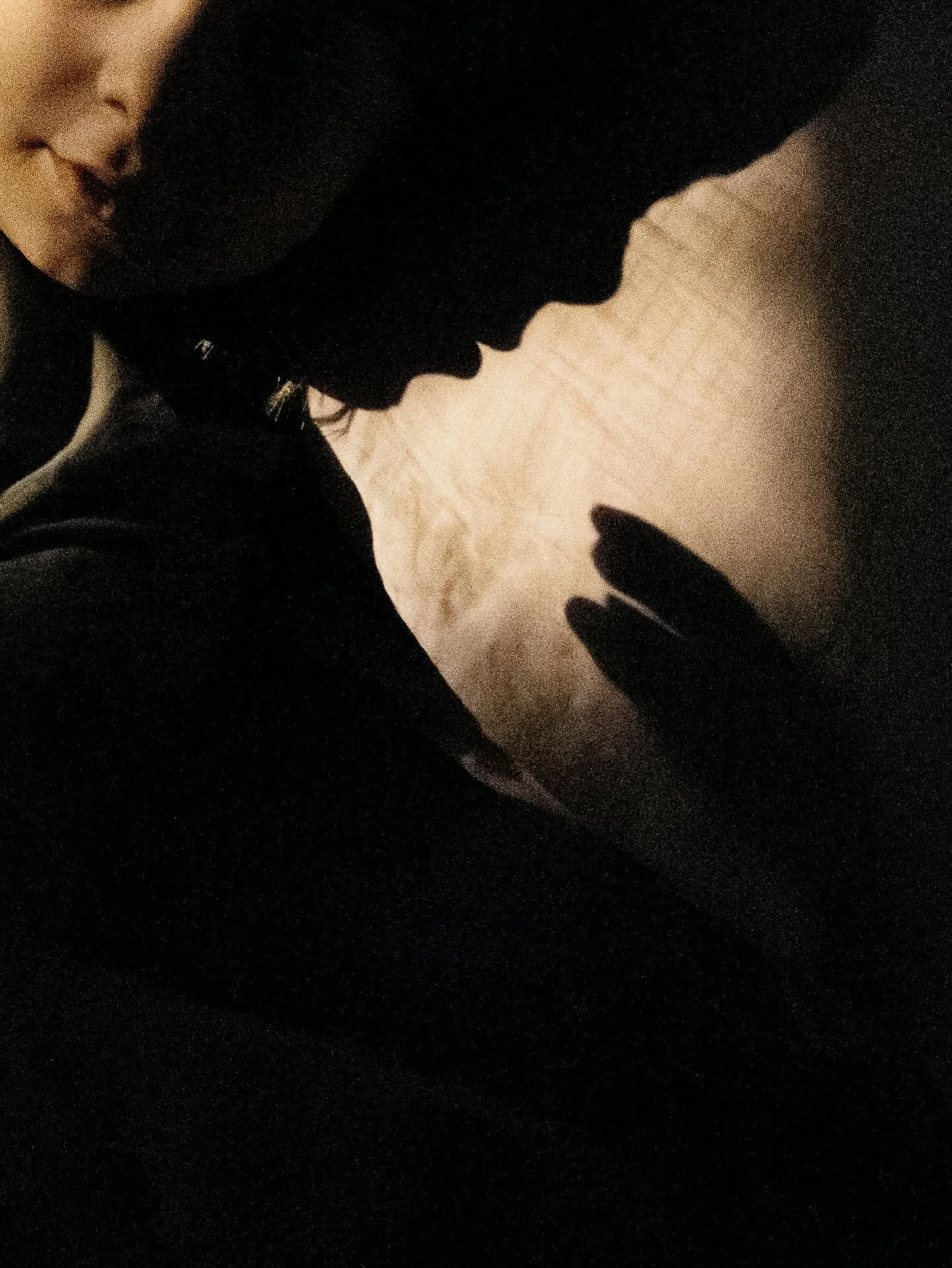 2. Light that touches me:
Every morning during the dark months my pillow gets softly illuminated by the street lantern as I draw the shutters open. It's the faintest patch of light yet I find it incredibly peaceful - like the outside world letting me