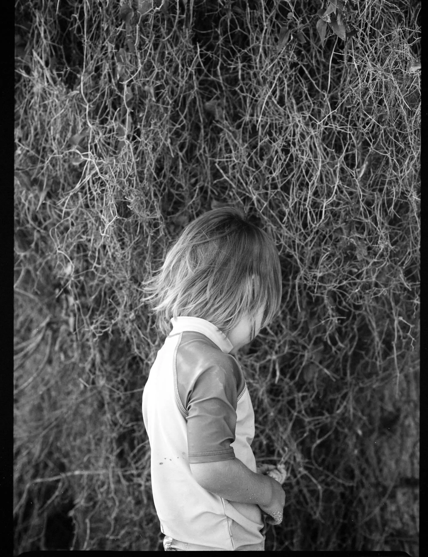 This is where I go in my dreams. The smell of sunshine in their hair.

#analogmemories #childhoodonfilm #viennaphotographer #femalephotographers #sheshootsfilm