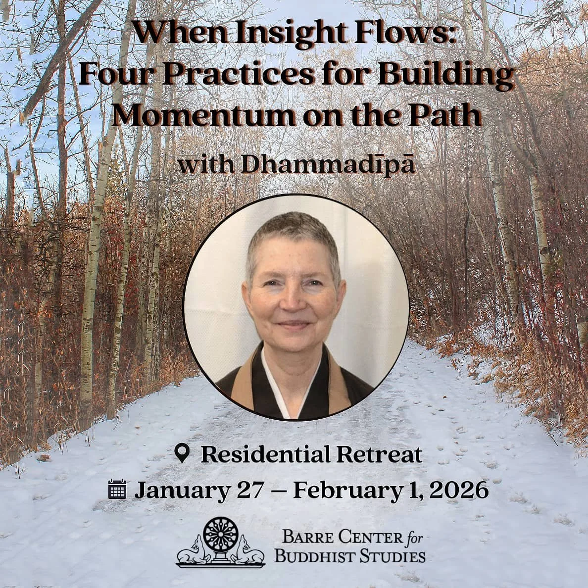 When Insight Flows: Four Practices for Building Momentum on the Path