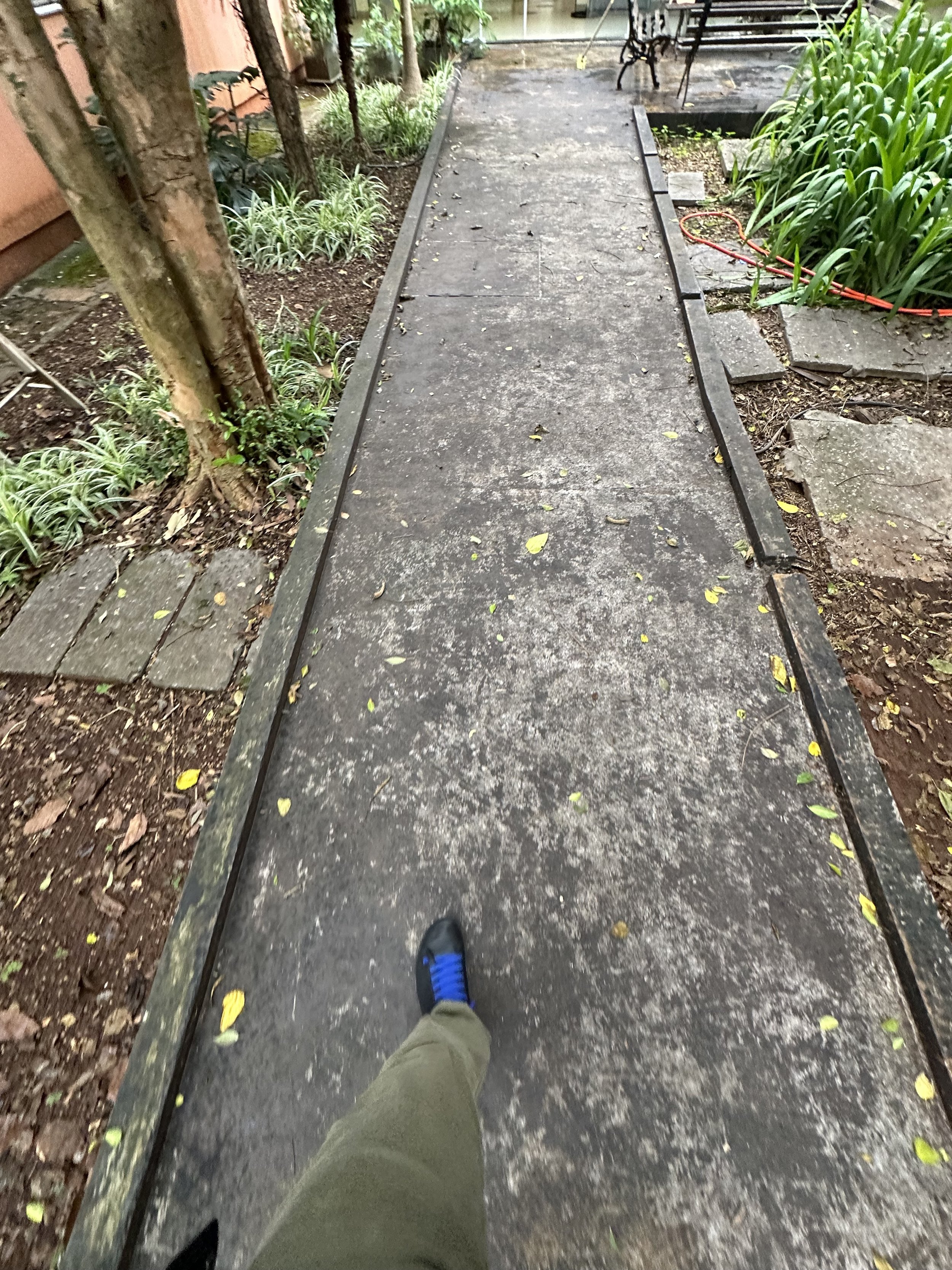 IMG_0076.jpeg
