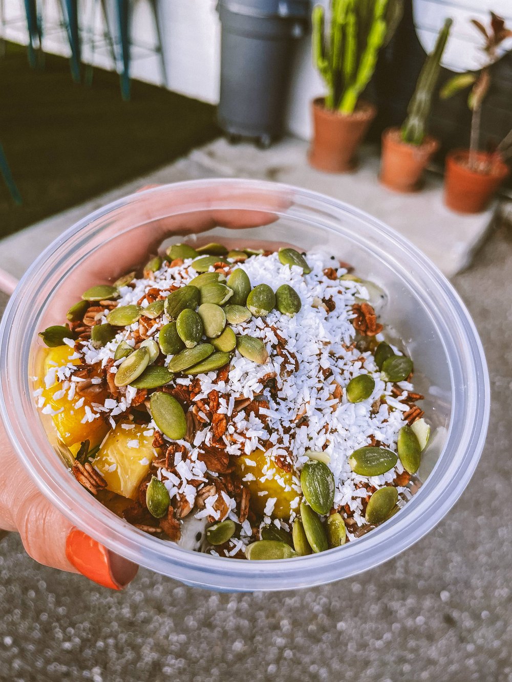 acai bowls tampa florida.JPG