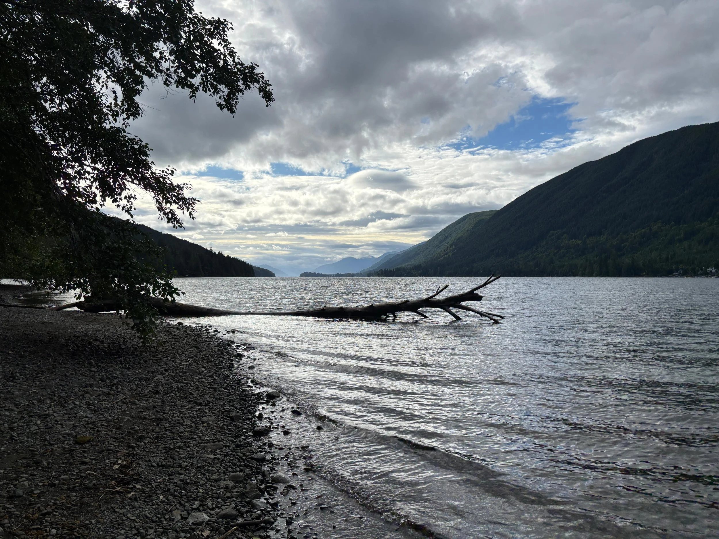 WhatsApp Image 2026-03-08 at 10.01.56.jpeg