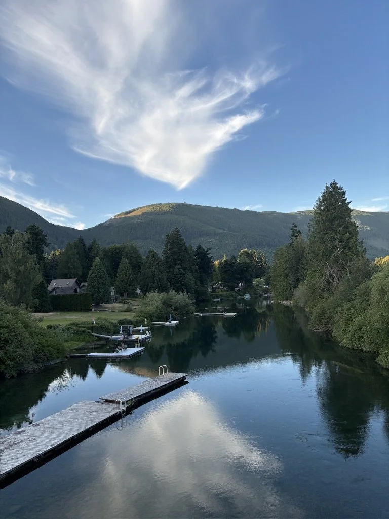view from Lake Cowichan bridge.jpeg