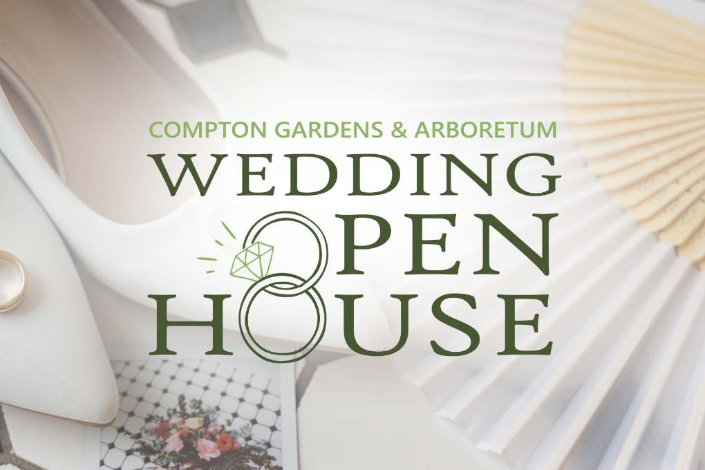Compton Gardens & Arboretum Wedding Open House