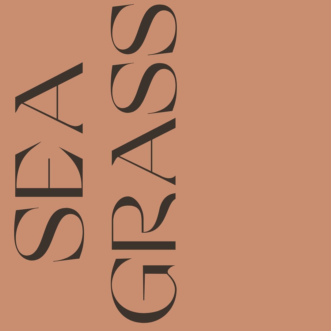 Seagrass / our seagrass fiber, native to India and Sri Lanka, is incredibly strong and durable. Sustainable because of its fast growing and easy harvest, seagrass rugs offer a natural serenity to any space.