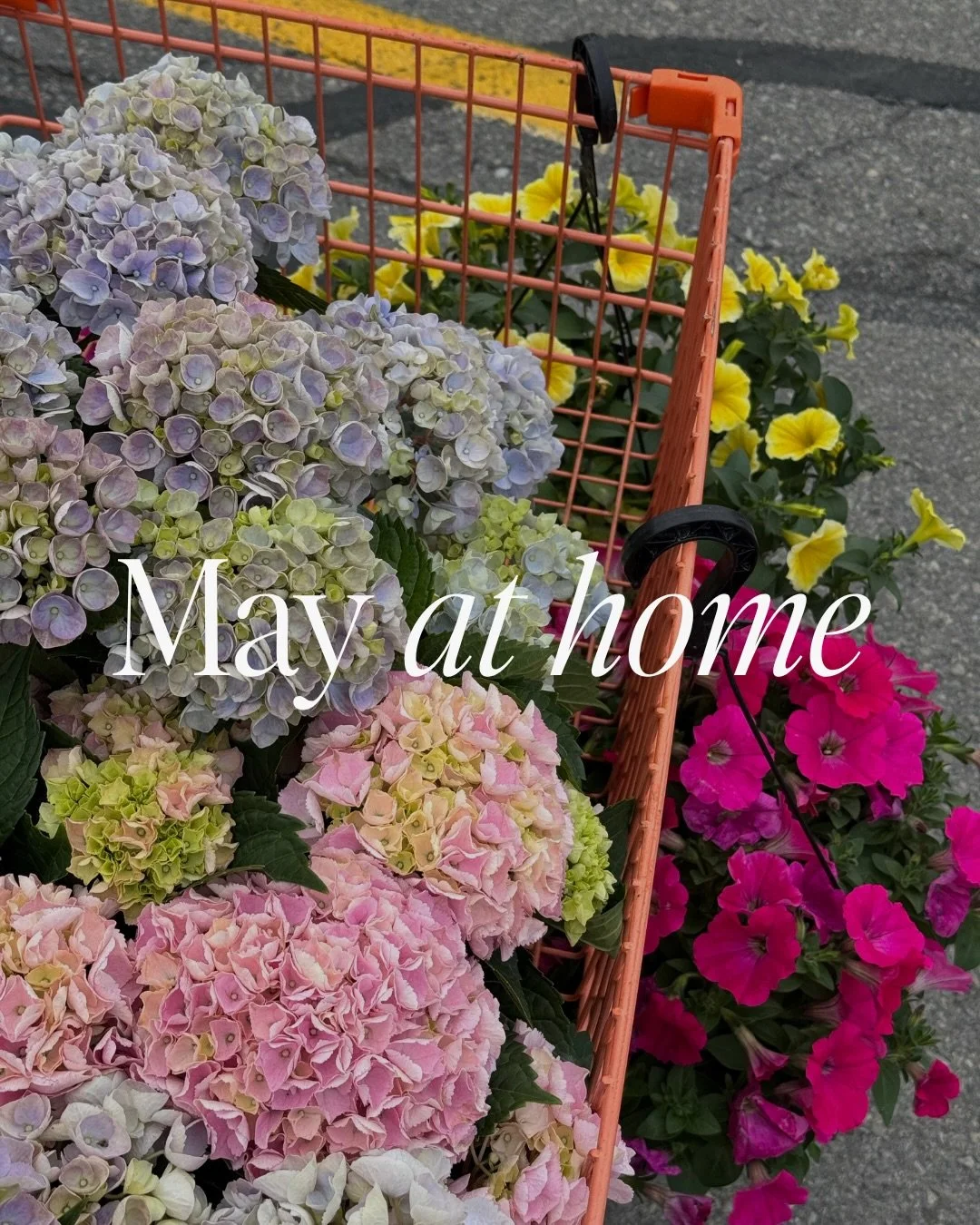 May is basically the universe giving you permission.

Permission to go outside, open every window, and finally deal with that one thing you&rsquo;ve been walking past since March.

Every month I drop a homeowner checklist to help you stay ahead witho