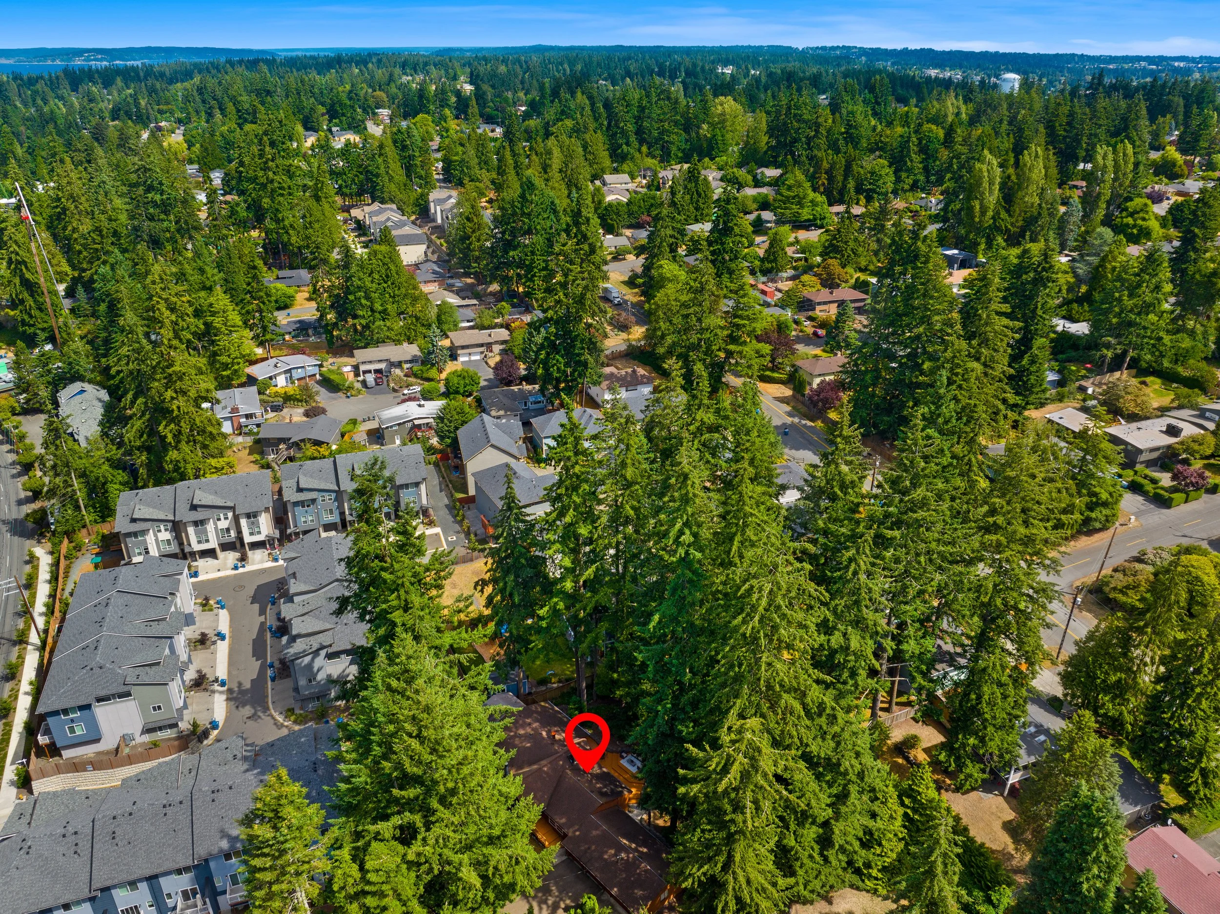 53.JPG
