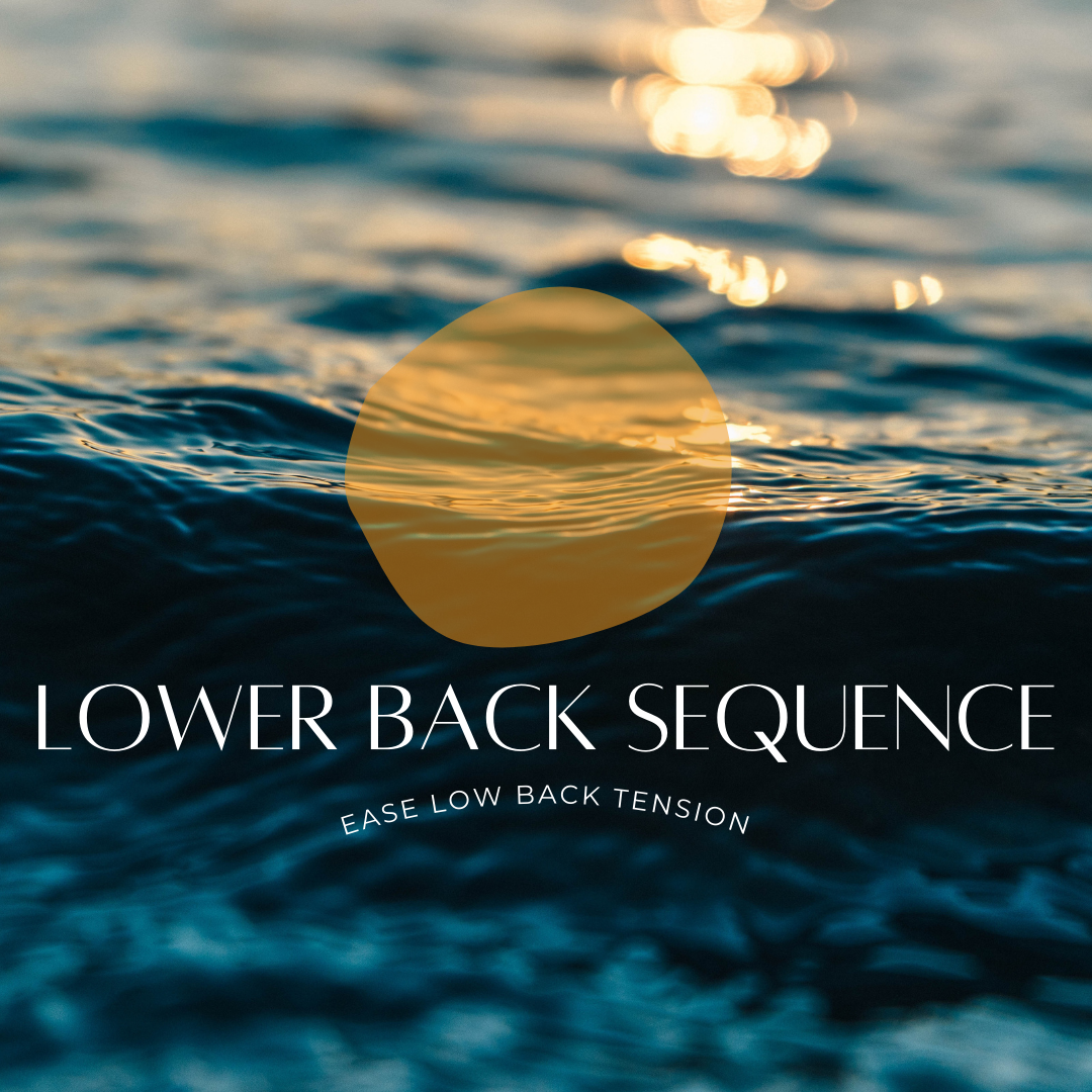 Lower Back Sequence