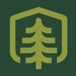 treeeeee.jpg