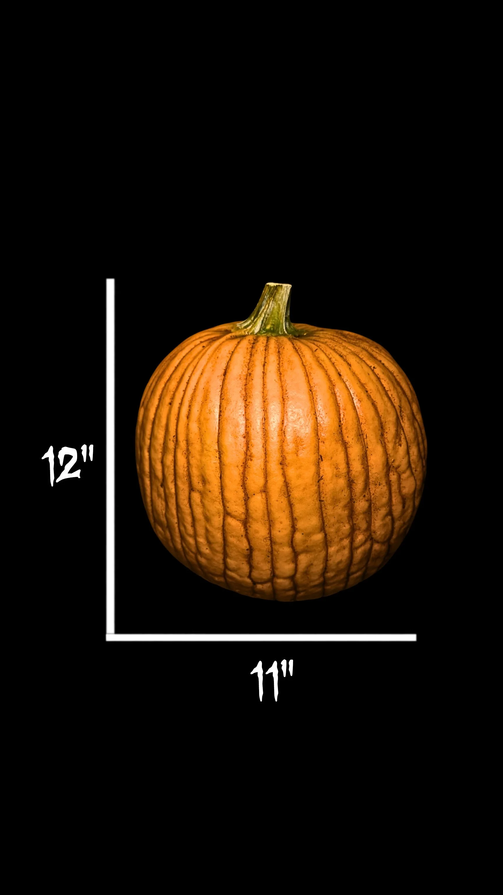 Prop Pumpkin #12 — AdamJessFx
