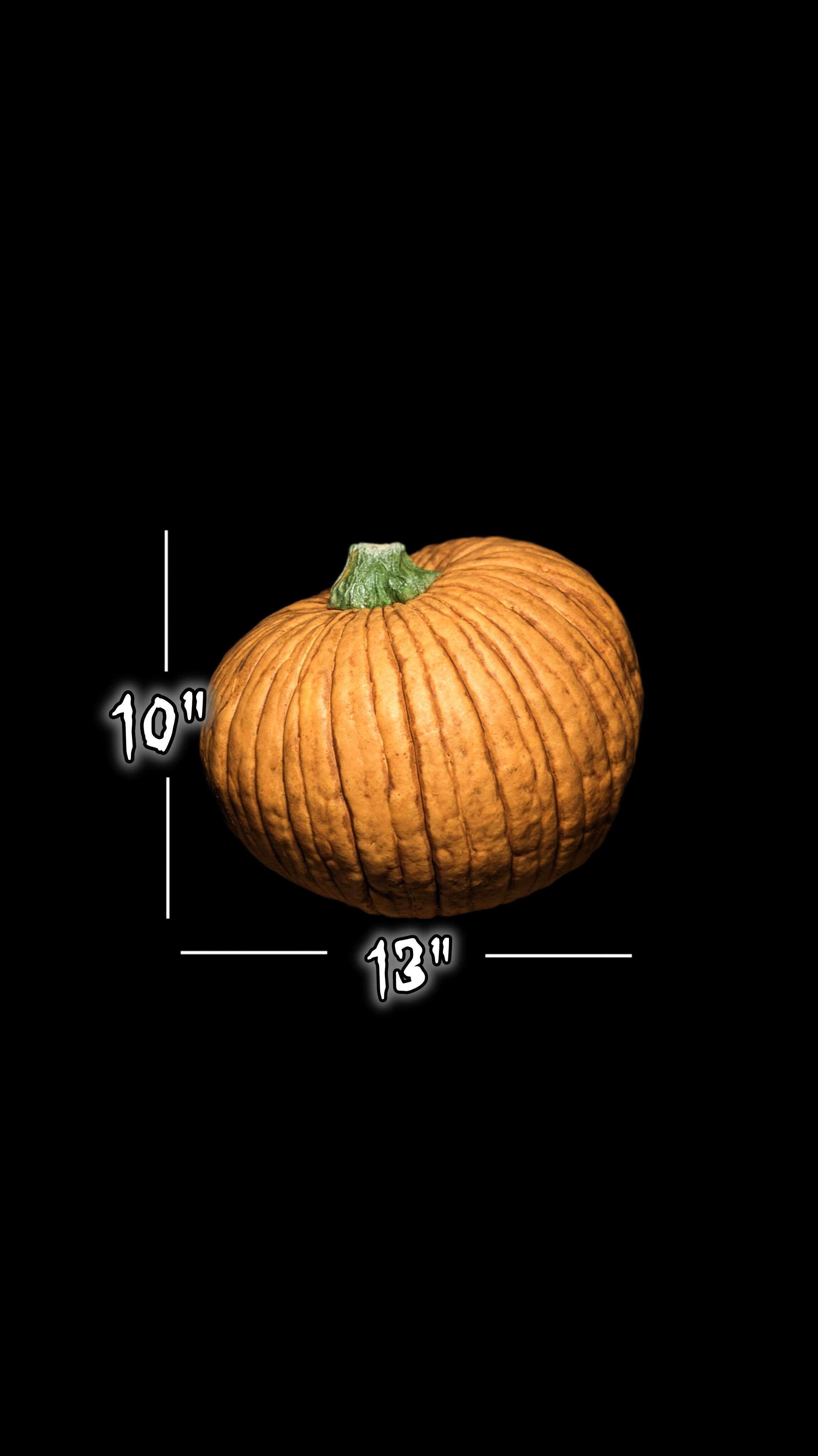 2s.jpg