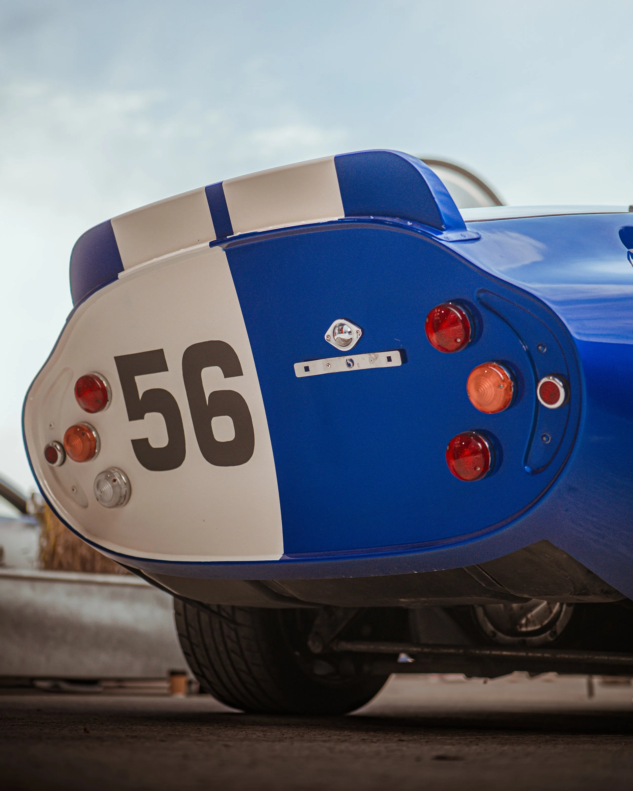 piper trimmer 12.04.25 (4 of 37).JPG