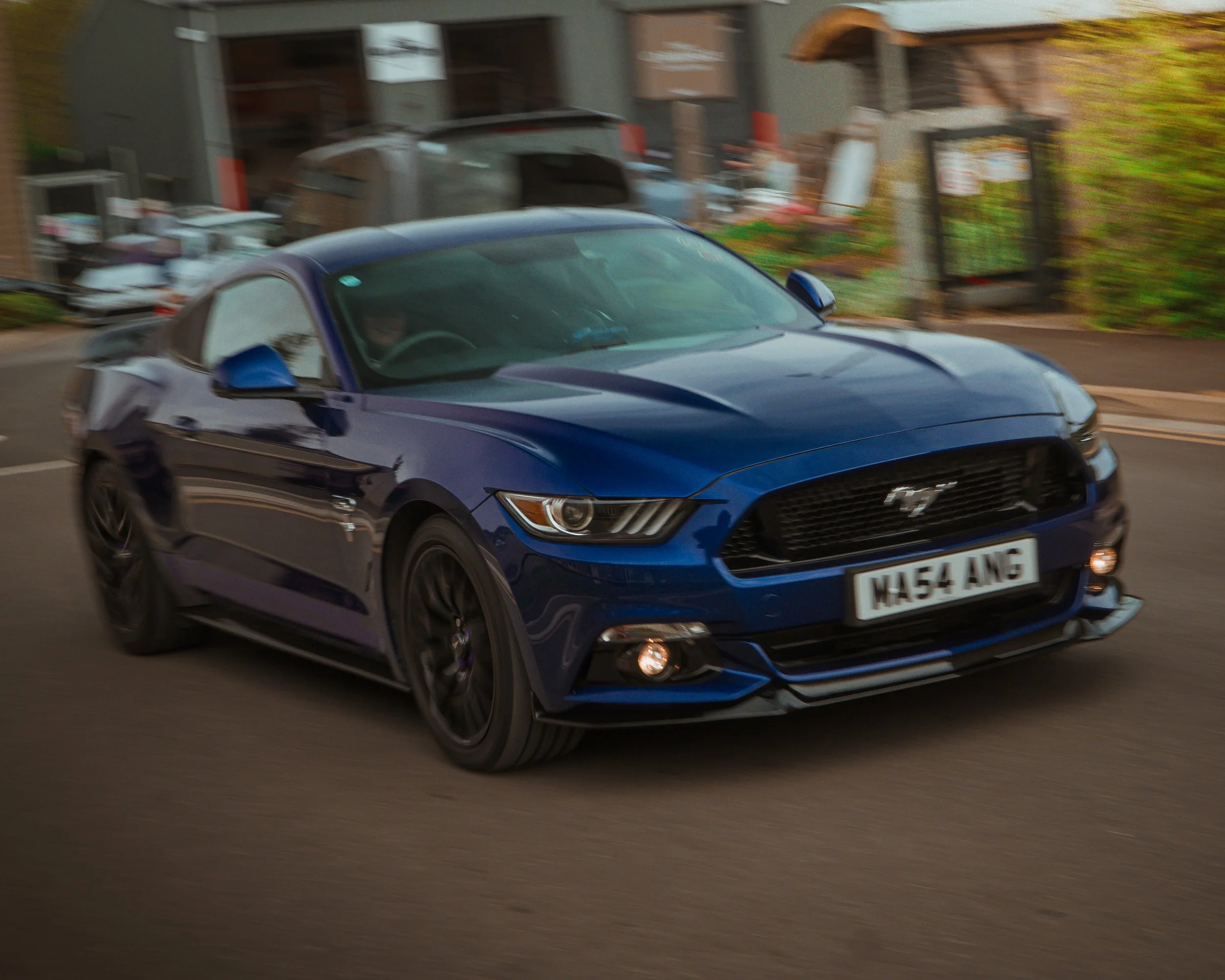 piper trimmer 12.04.25 (33 of 37).JPG