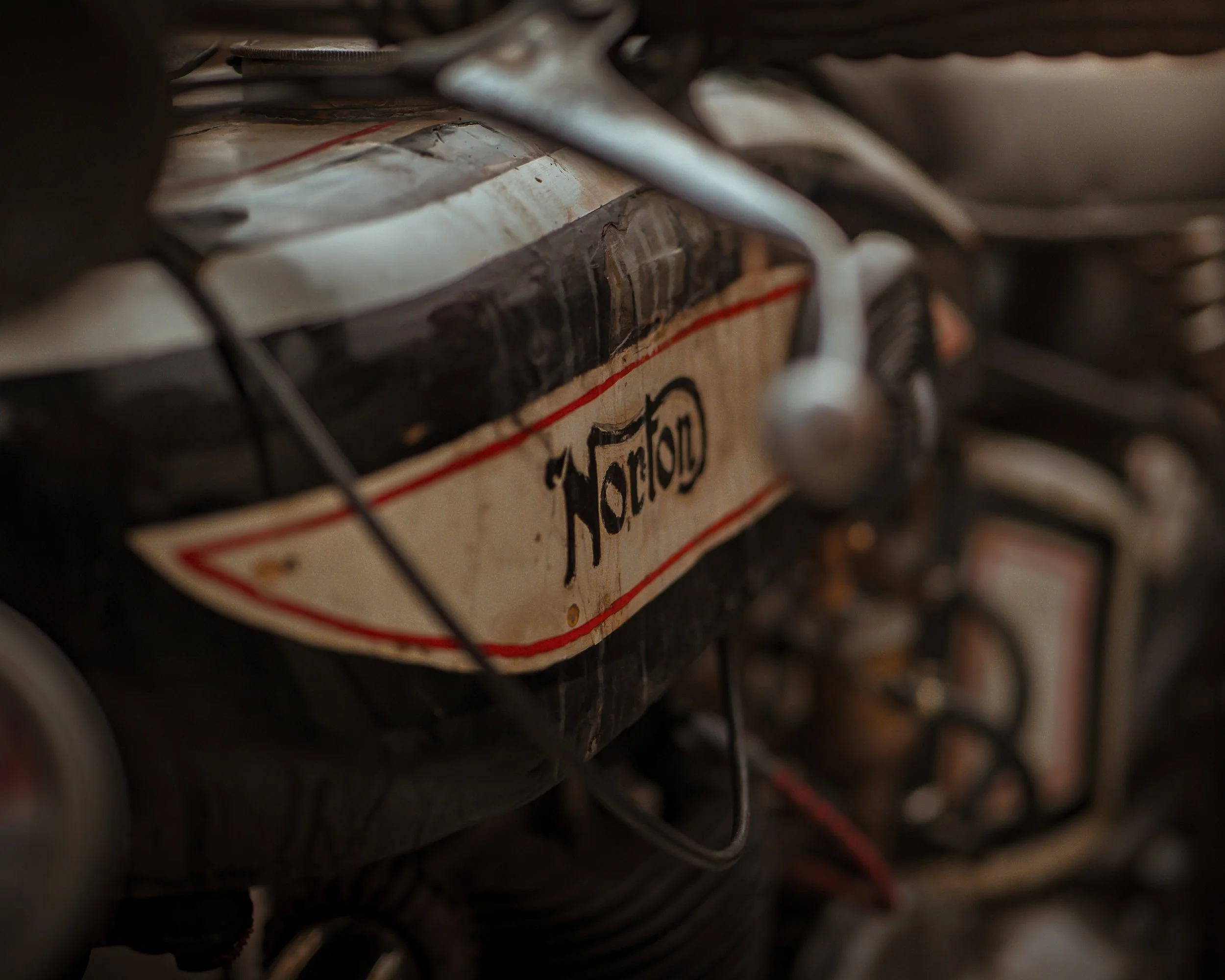 piper trimmer 12.04.25 (37 of 37).JPG