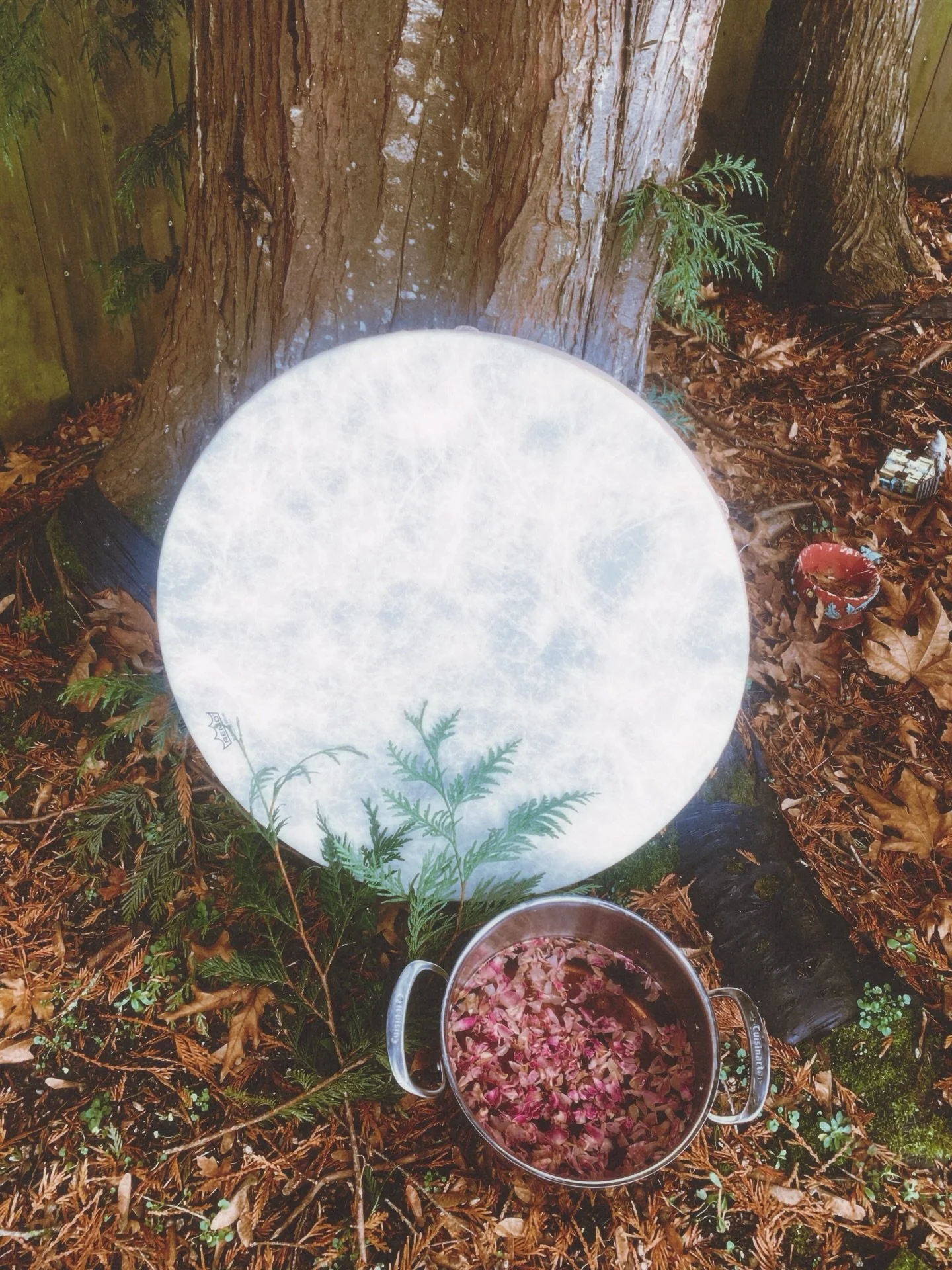 I don&rsquo;t usually share about client sessions&hellip; as sometimes sharing the sacred can feel like it doesn&rsquo;t do it justice. But something in me feels called to, perhaps, as a way to inspire and express the beauty that comes from saying &l