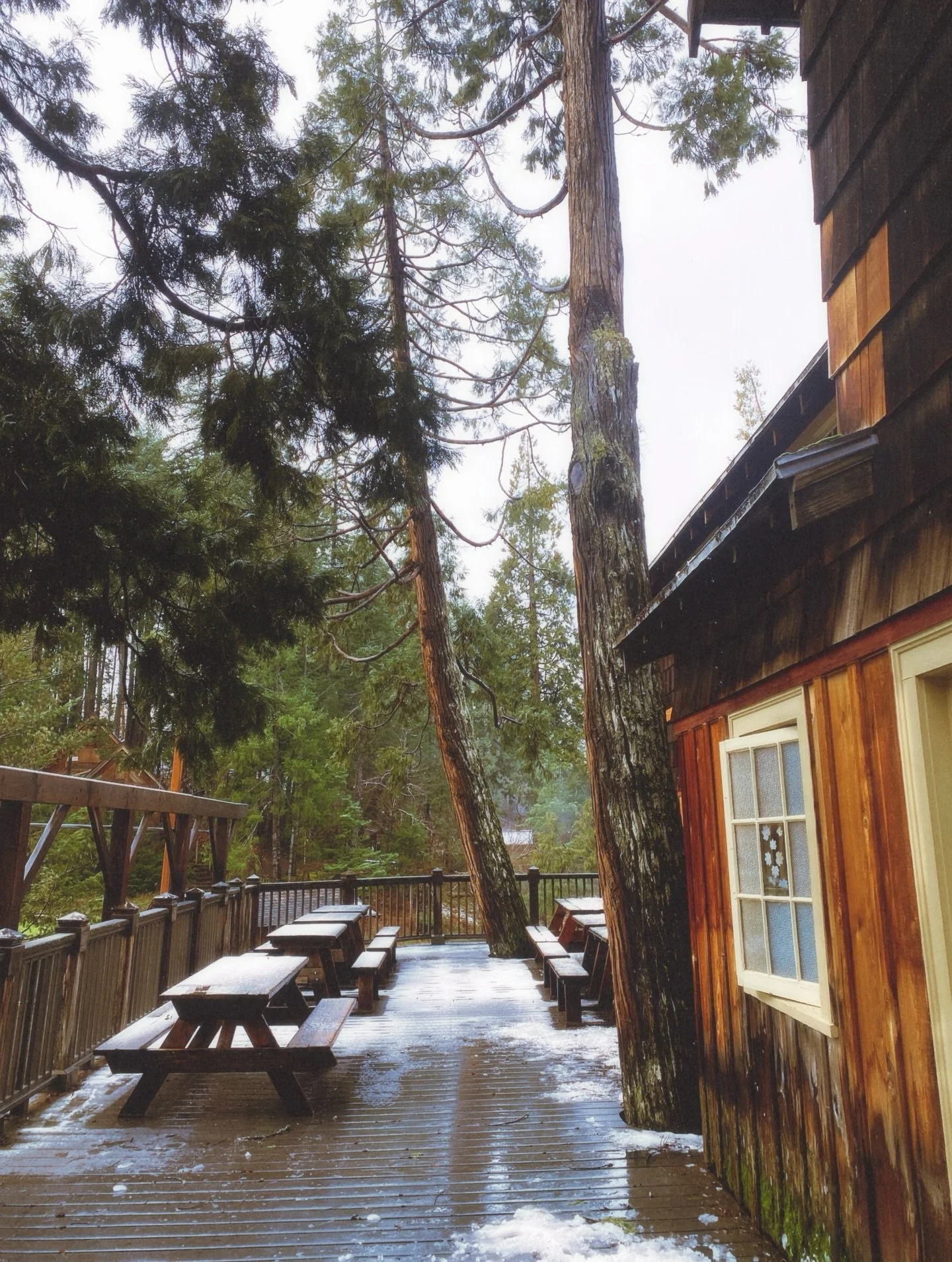 Breitenbush, you were what our minds &amp; bodies needed ✨ 

We shared sound medicine both evenings, soaked in the springs during rainfall, woke up to snowy peaks, &amp; met some new soul friends 

Thank you to the land, the river, the trees &amp; th