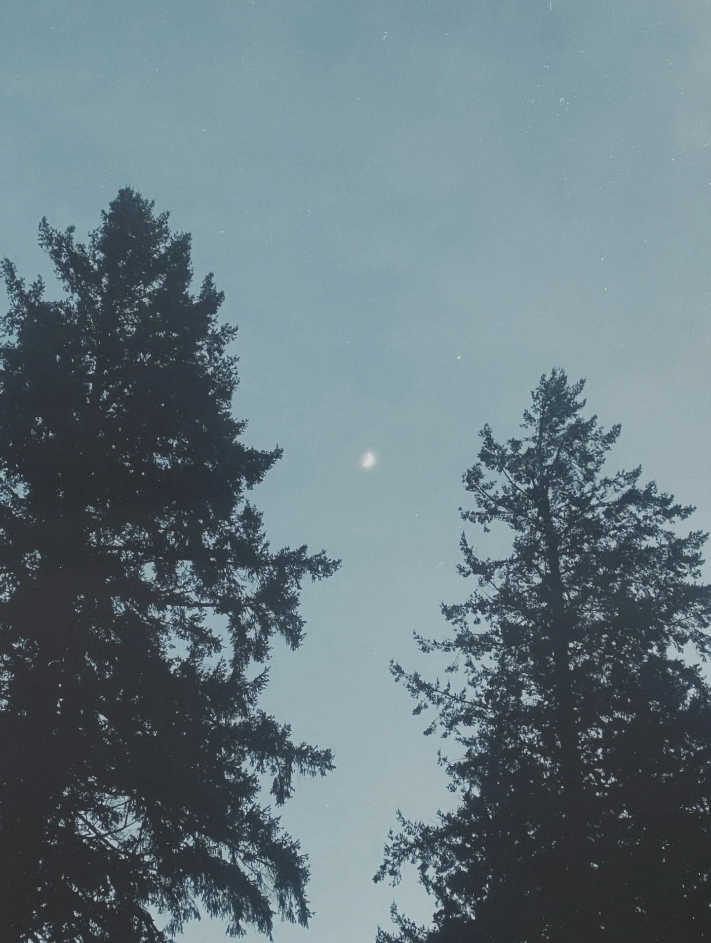 These images carry a piece of what&rsquo;s been forming&hellip; 
but they&rsquo;re only a small glimpse.

Tomorrow morning, I&rsquo;ll be sharing the offering they&rsquo;re pointing toward. 🤍 my excited heart cannot wait to see you there

💌 CM xx