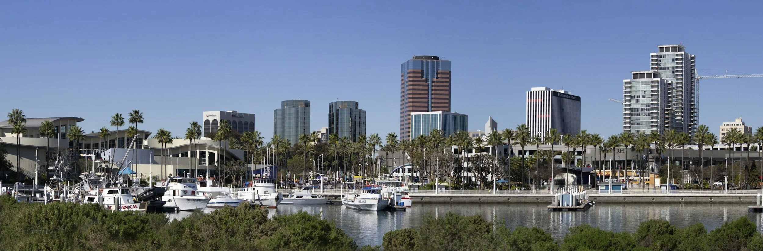 Long Beach Area Guide: Things to Do, Coffee and Food