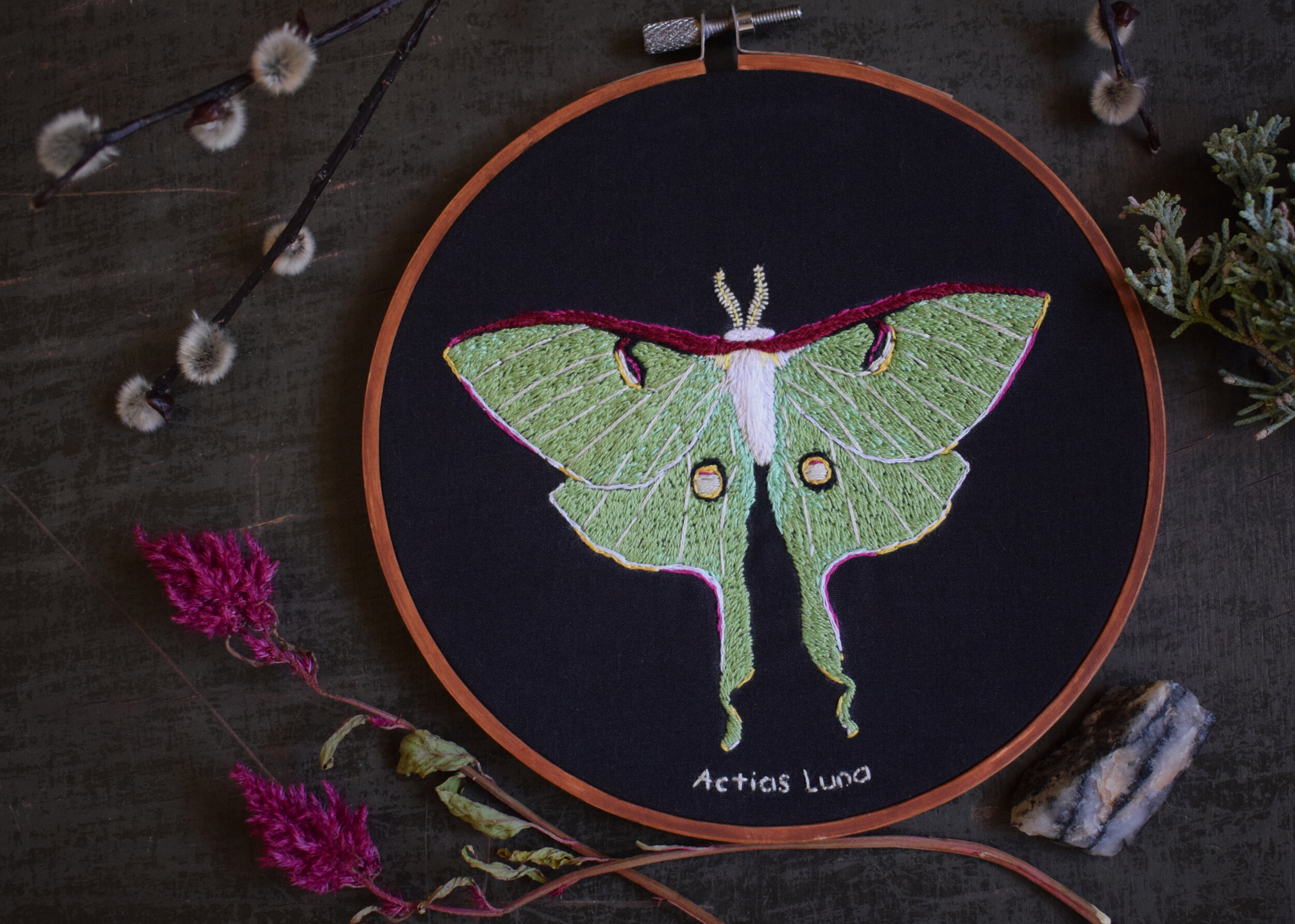 Luna_Moth.jpg
