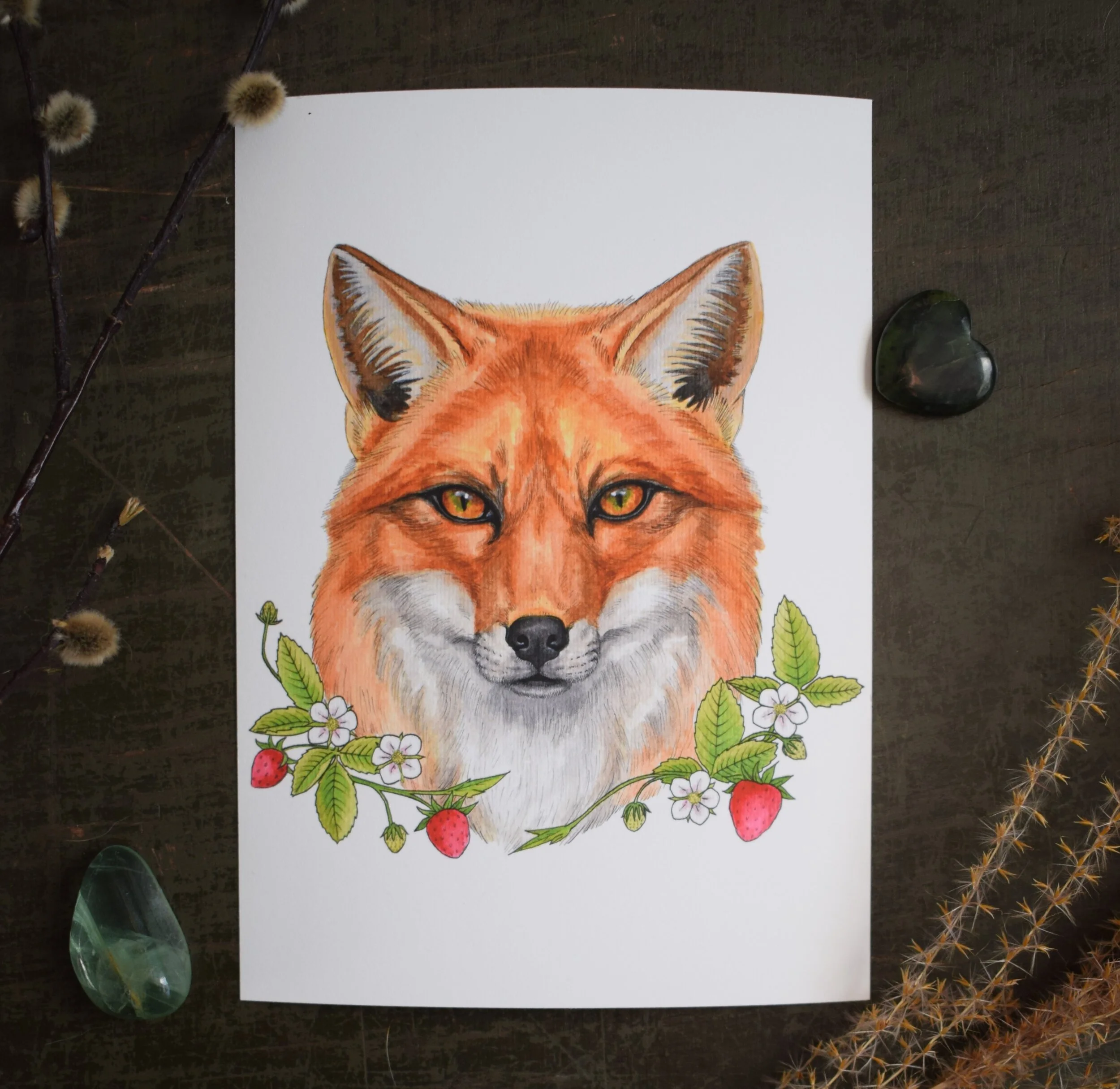 Fox_edit.jpg