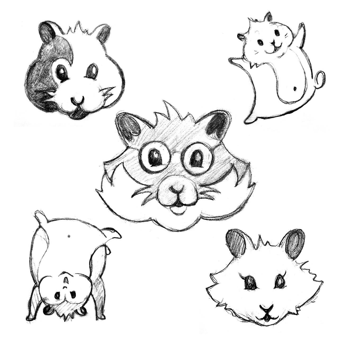 Initial sketches are always my favorite part of the design process, (and the most important!)
I was asked to design hamster icons for a font created by @stitzstudio based on their iconic hamster trails. Stay tuned for the final designs of this super 
