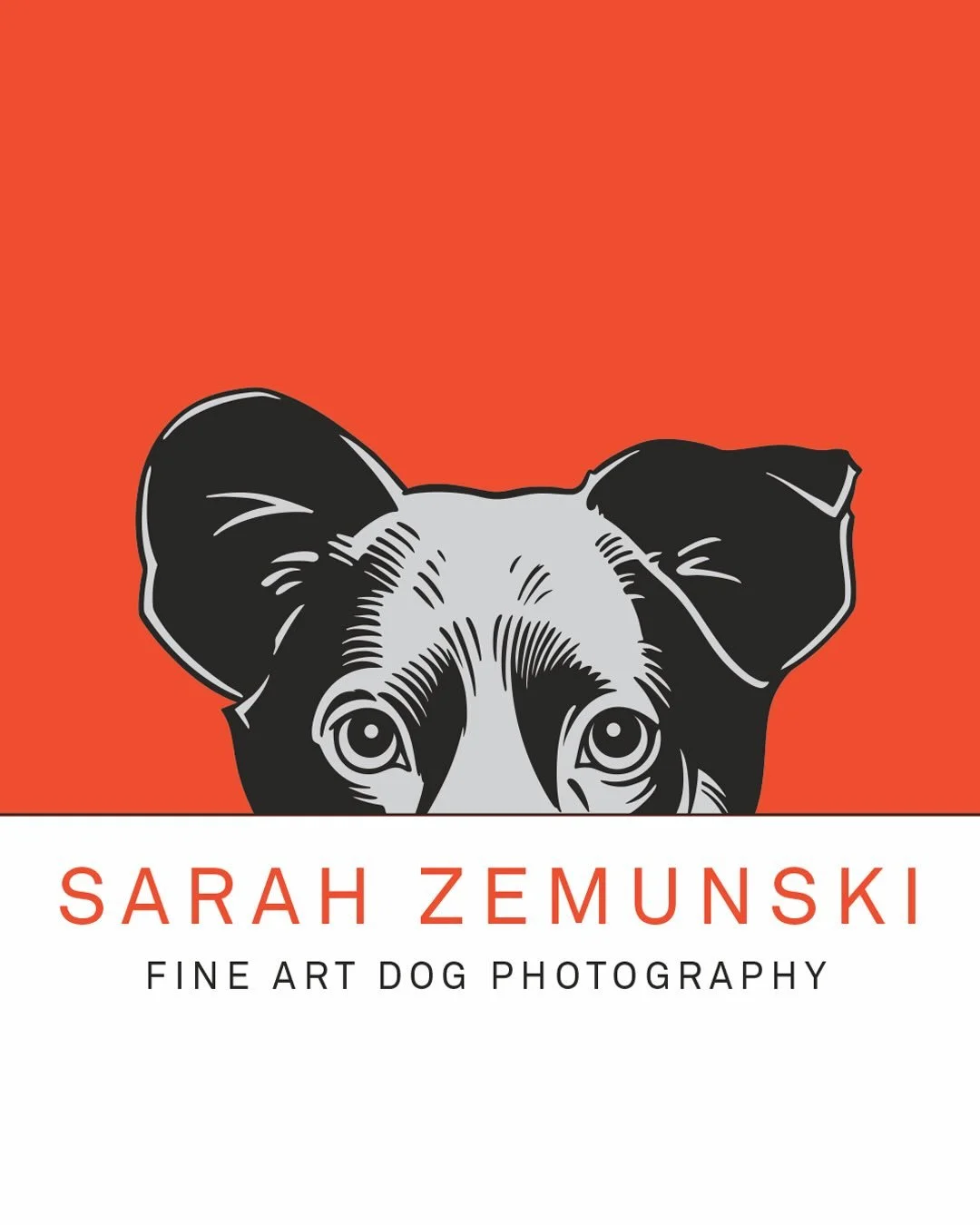 * Adorable Dog Alert! * 
New work for San Francisco Pet Photographer, Sarah Zemunski. 

Sarah&rsquo;s photos are bright, fun, and capture each of her furry clients&rsquo; unique personalities. She is known for her iconic &ldquo;peekaboo&rdquo; photos