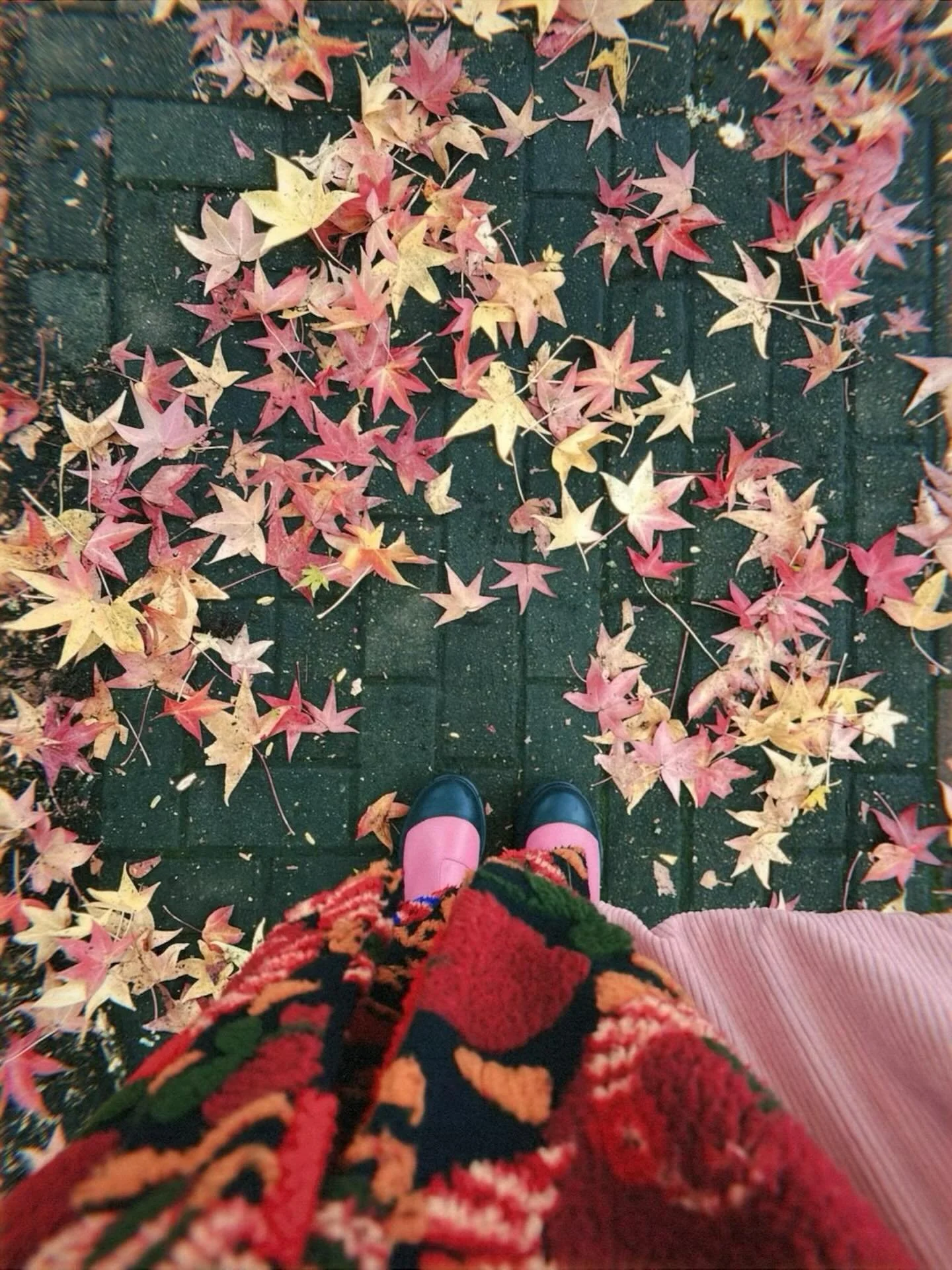 my october 🧡🍁🎃

&bull;&bull;&bull;&bull;&bull;

#october #fall #fallstyle #spookyseason #halloween #portland