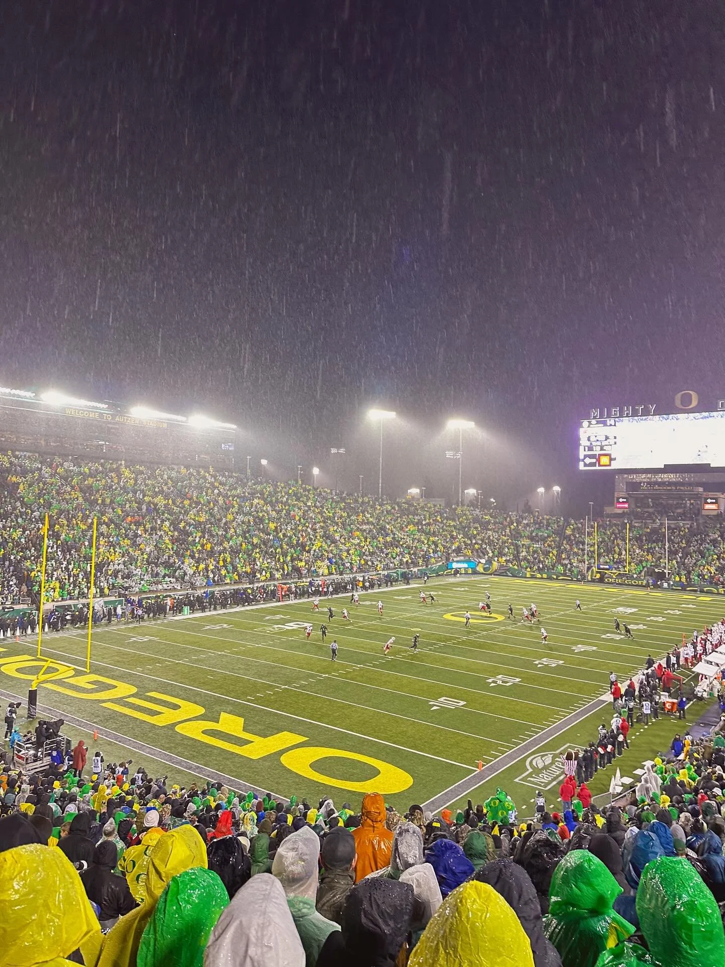 look at all those chickens!!!! #gobadgers 🦡

we bravely braved an atmospheric river to watch our beloved badgers score one (1) touchdown 🥹 on the bright side, we had a blast and a half, the ducks fans were nice, and i got to see bucky!!! ❤️ 

thank