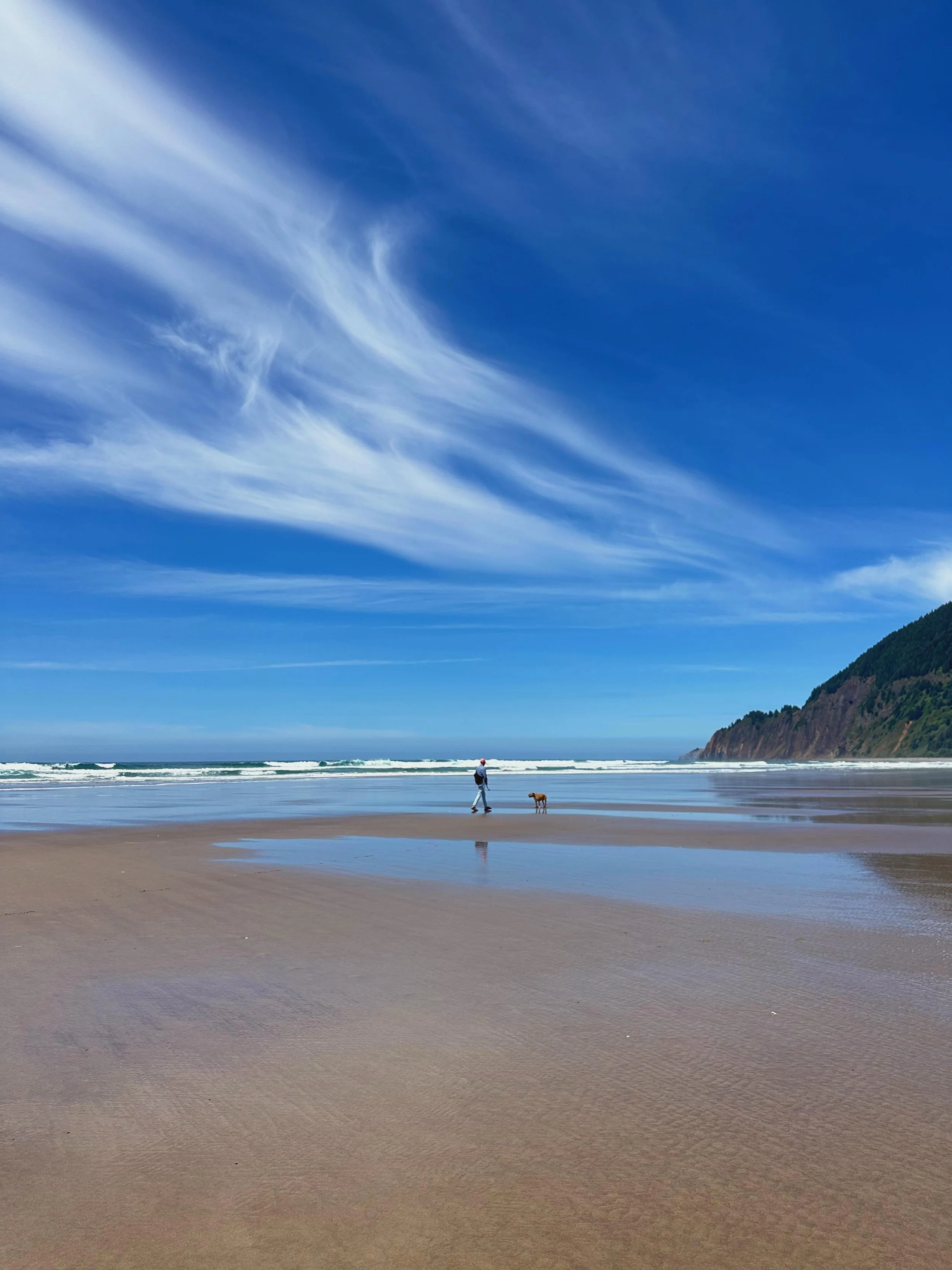 fun meter turned alllllll the way 🆙🚀

#mdw #oregoncoast #hiking #beachday #fun