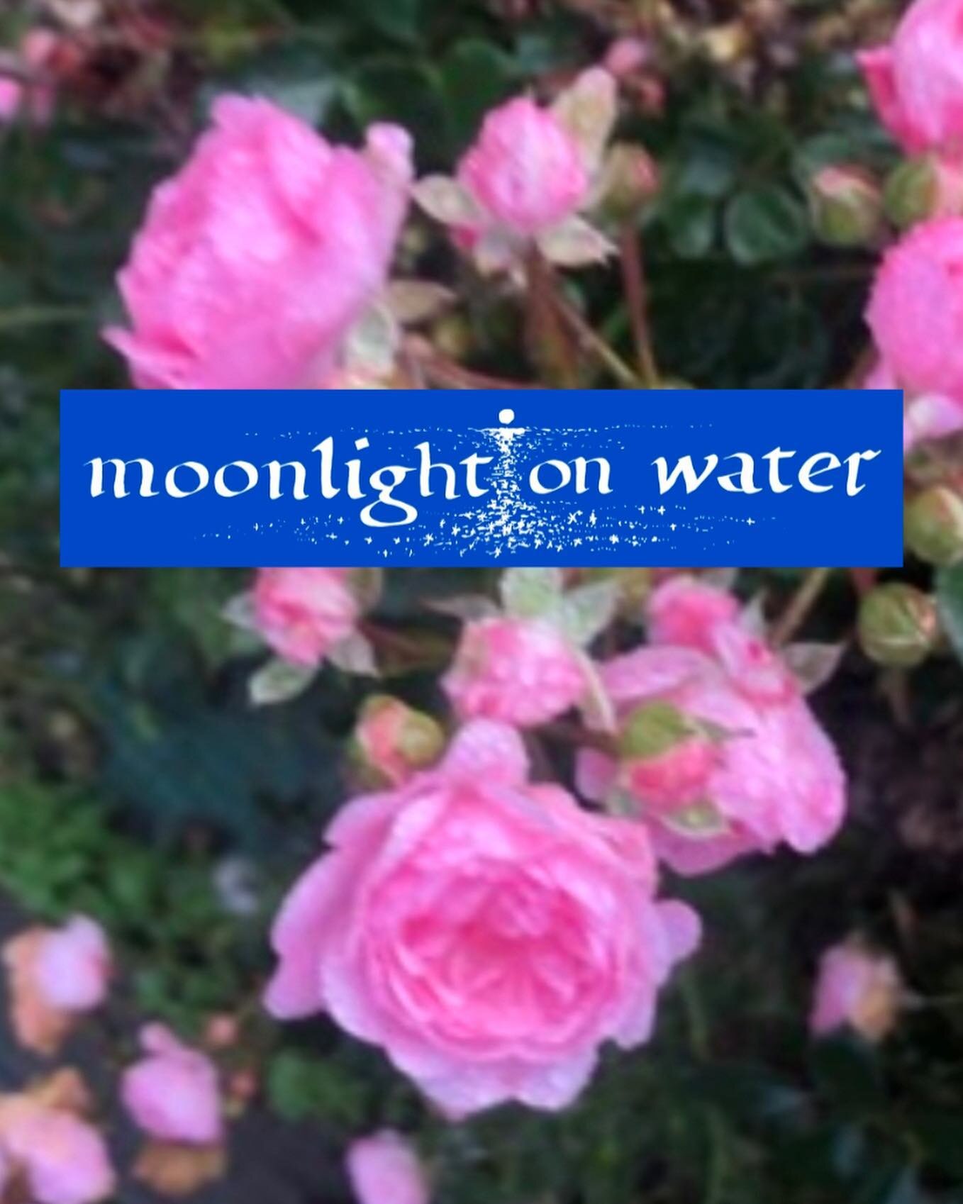 romance as in moonlight on water, dewdrops and returning to oneself 💘💘💘💘💘 going to re-open my 🕸️ 🛍️ at the beginning of March, in the meantime dreaming up new bumper stickers &ldquo;moonlight on water&rdquo; and working on paintings I&rsquo;ve