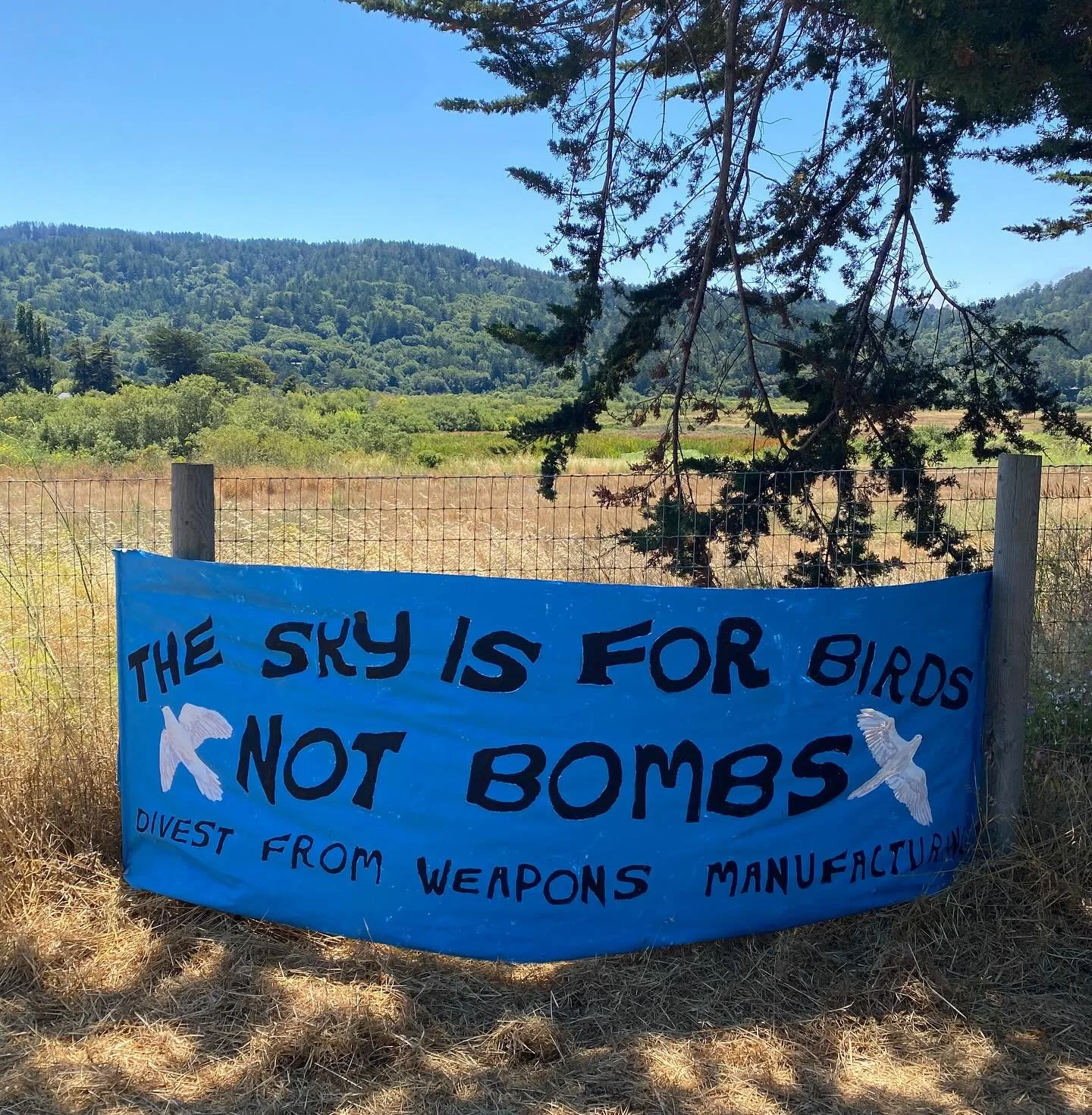 🕊️ The sky is for birds, not bombs 🕊️ we live in a society that is entirely structured around the funding, manufacturing, selling and deploying of weapons &amp; surveillance tech. 872 billion of US tax dollars went to defense spending in 2024. Most