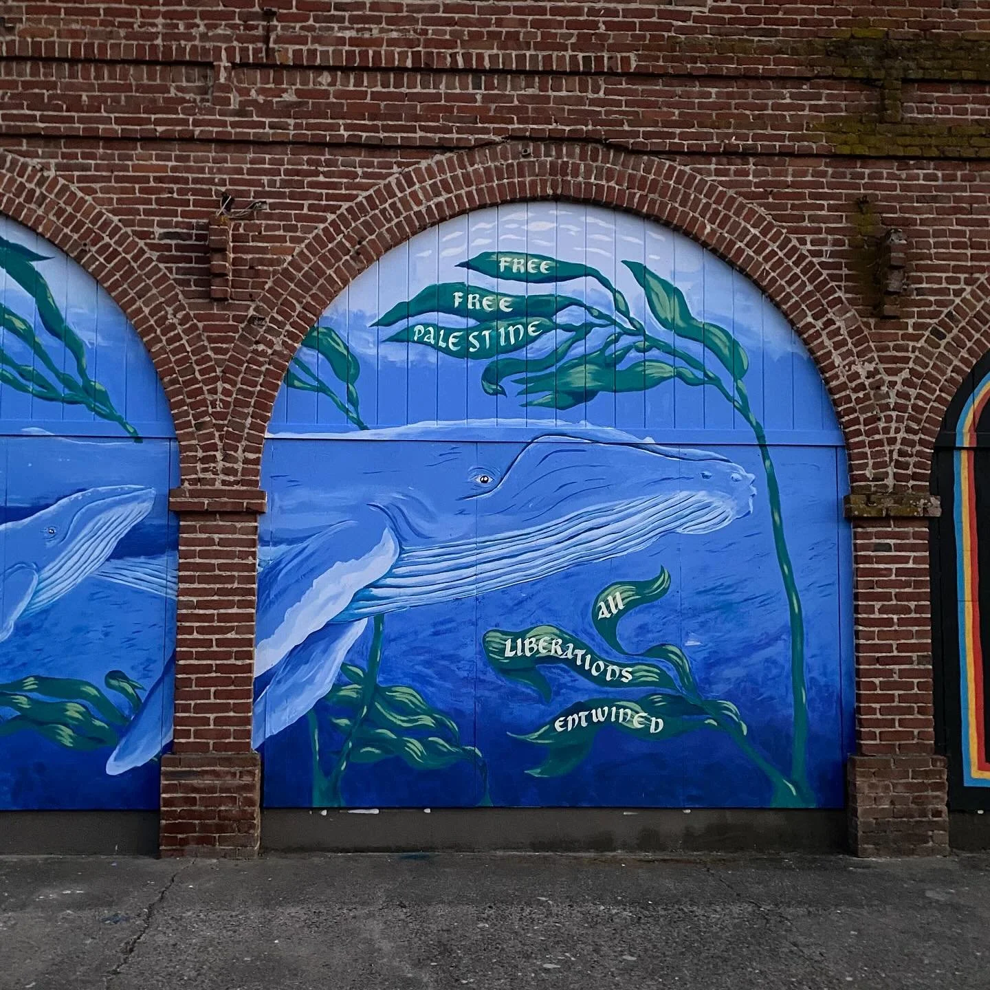thank you to everyone who supported this mural coming to life 🐋 sharing process photos of the last 3 days, it was so beautiful. people came from all over west marin to help paint and over 50 community members supported this in different ways to make