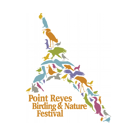 First Look &amp; Behind the Pages of Birds of Santa Cruz