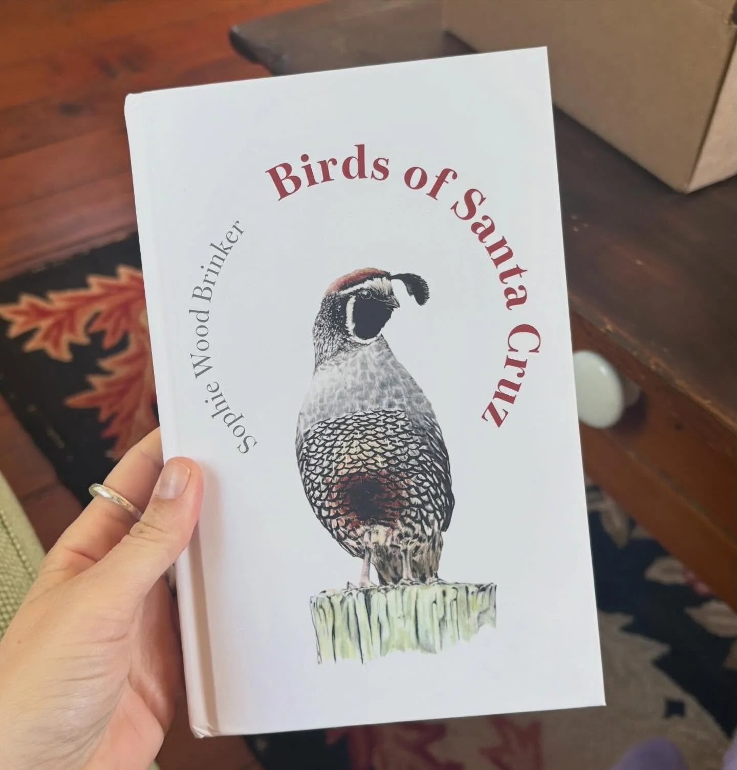 I received the advance copy of my book this week. 🕊️📖 Holding a book I wrote and illustrated is a feeling I&rsquo;ve never experienced before! While I was looking through the pages I could hear the sound of a House Finch singing through the open wi