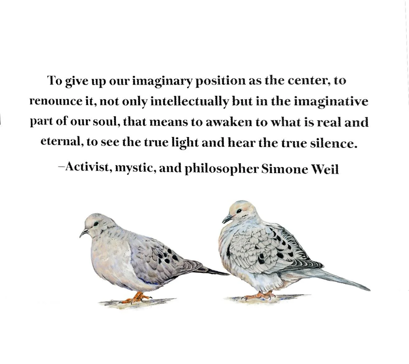 A hope I have with this book is that the words and illustrations can help connect us with the web of life we are a part of, that keeps us alive, that we are beholden to. This quote by Simone Weil sits on the first page as a way to begin. 🕊️🌎

For e