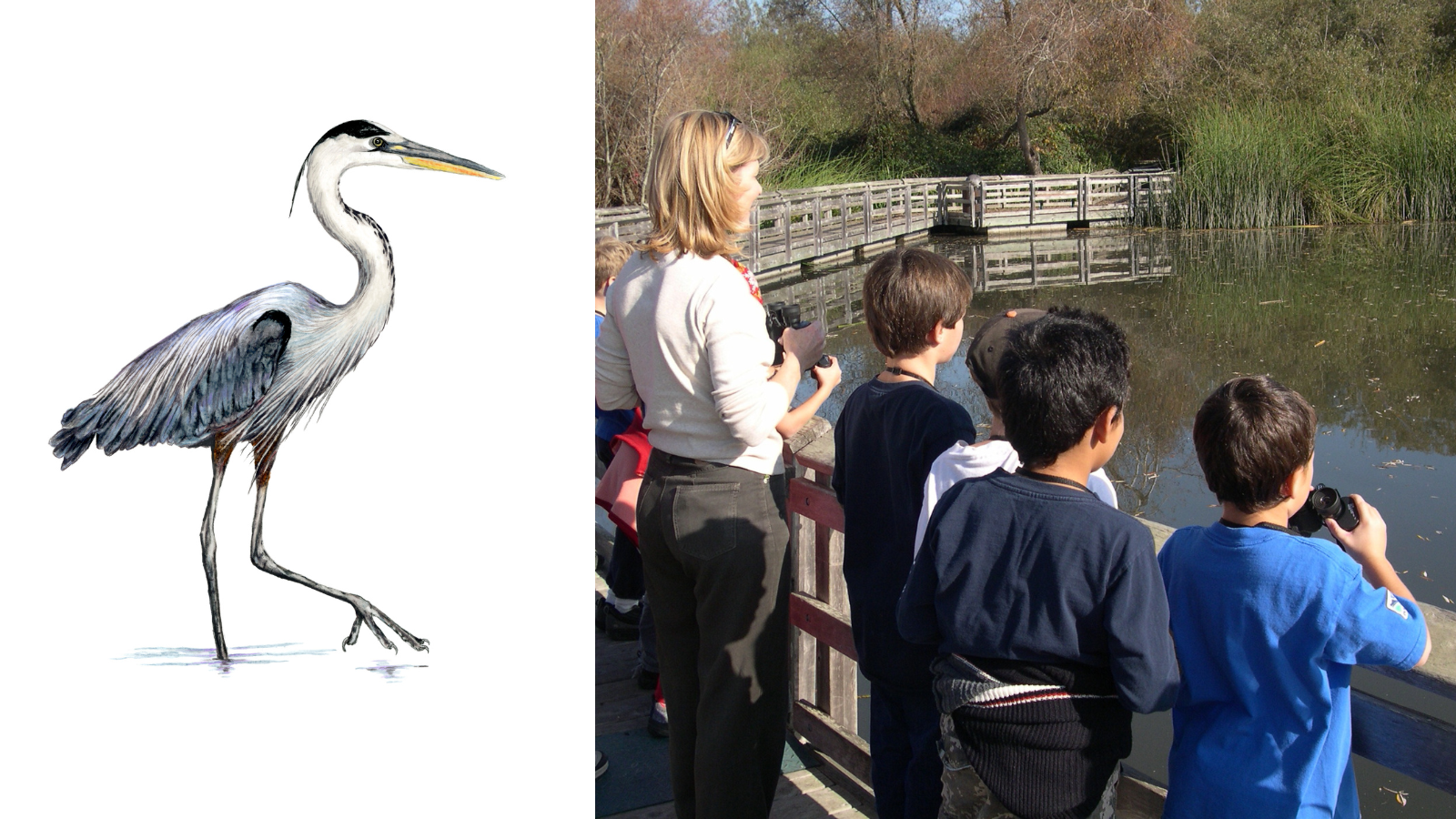 Birding and Nature Journaling
