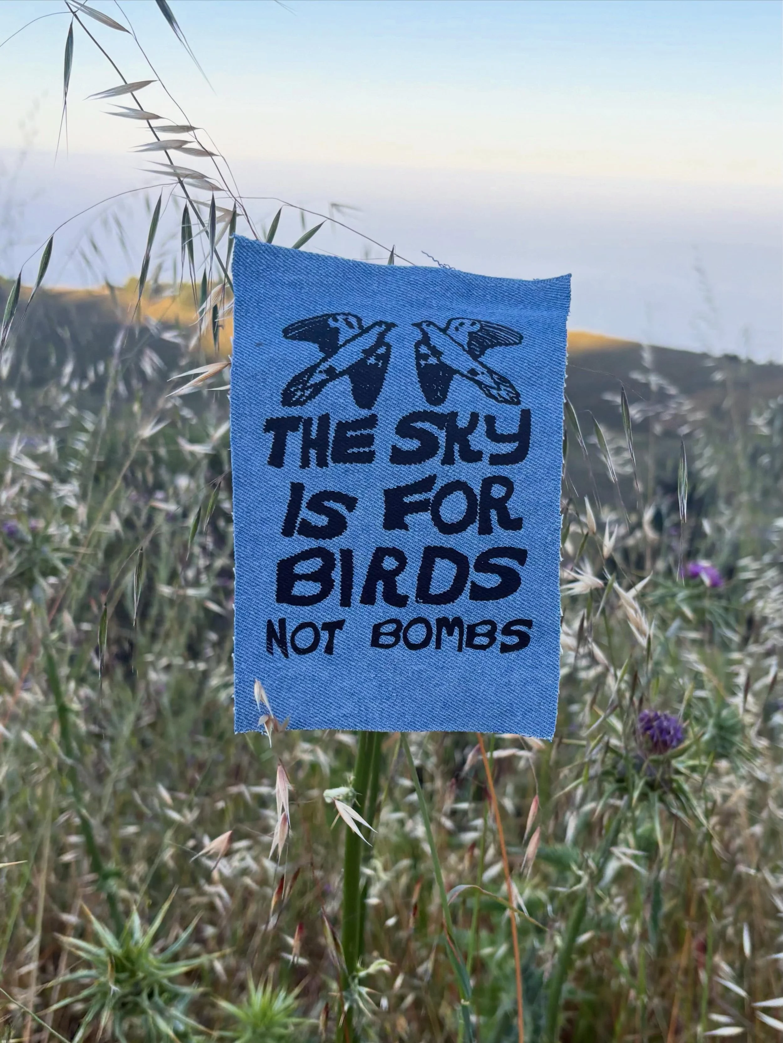 I will have these 🕊️ patches for sale tomorrow at @gospelflatshowspace to raise funds for my friend Nada in Palestine. Did you know the US military is one of the largest contributors to climate change? There are over 800 US military bases across the