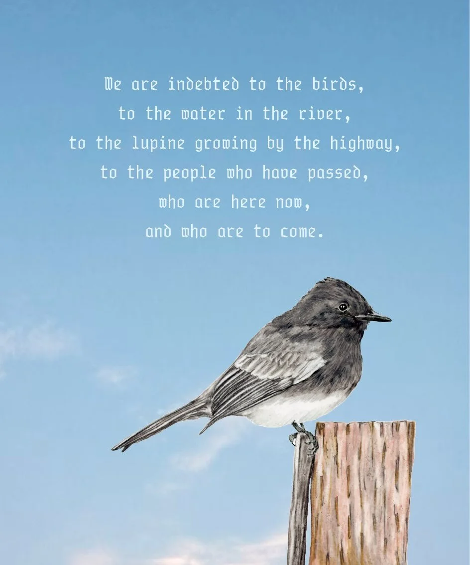 🕊️🕊️🕊️we are indebted to the birds and each other 🕊️🕊️🕊️ 

anti-border, ursula k le guin, reciprocity 🌹
illustrations and excerpts from &ldquo;birds of santa cruz&rdquo;