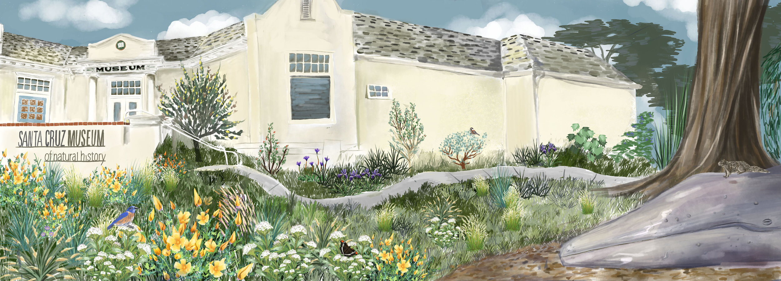 sophie wood brinker illustration of the santa cruz museum of natural history in the day