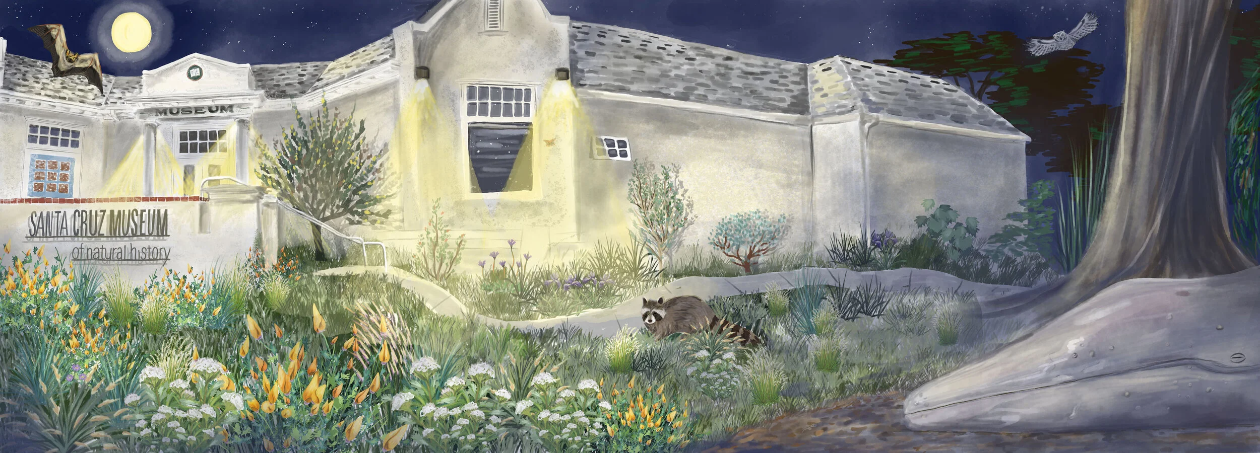 sophie wood brinker illustration of the santa cruz museum of natural history at night
