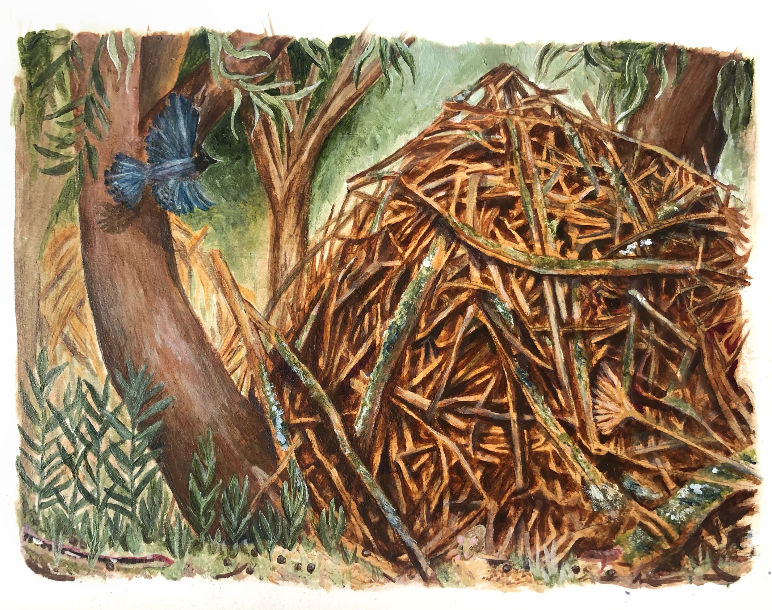 sophie wood brinker illustration of a woodrats nest