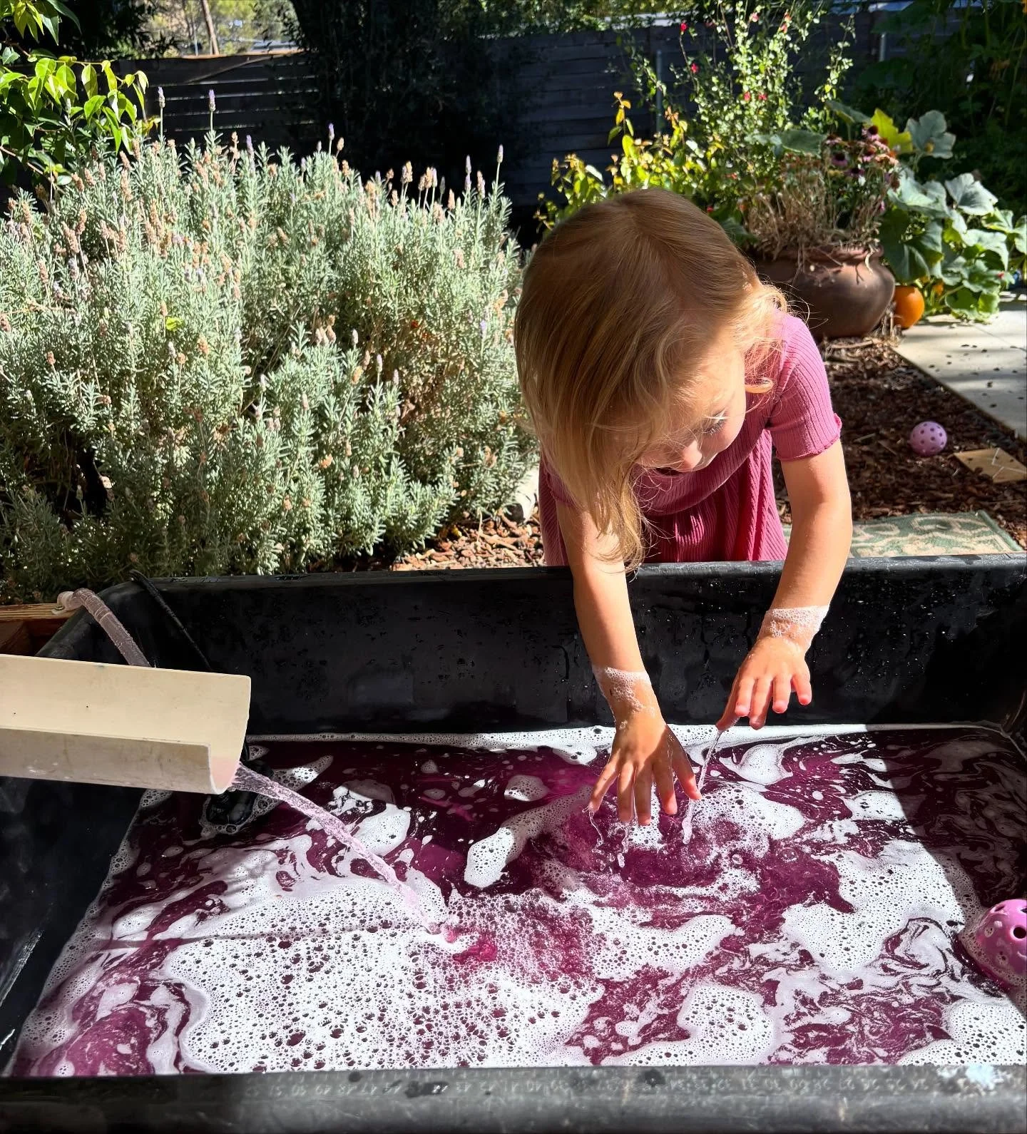 The last week of summer came in full force for us with highs in the 90s. We soaked up these (hopefully) last moments of heat with lots of water play and some lemonade popsicles, made by the children. Last week a child brought in popsicles to share fo