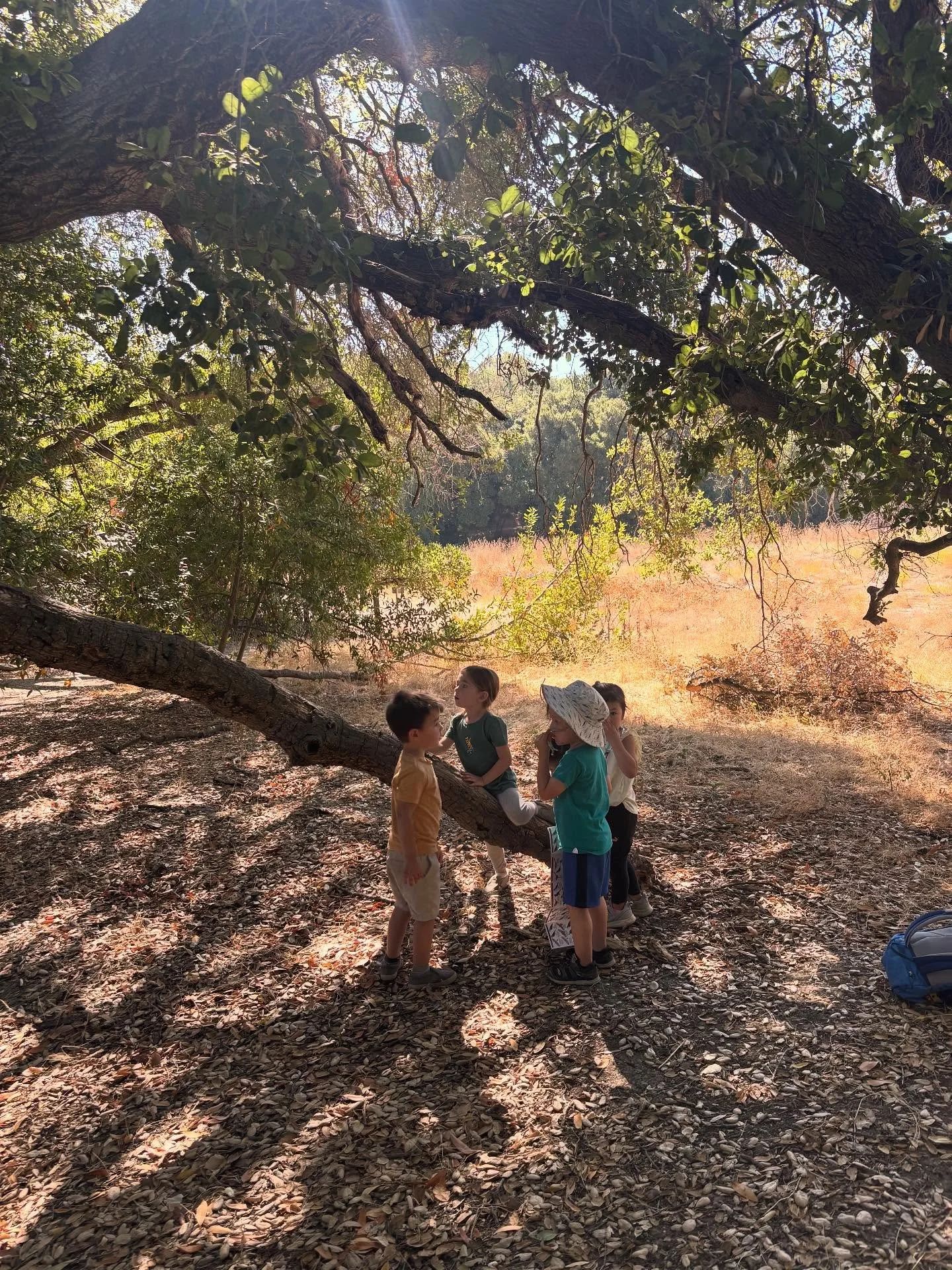 We celebrated fall equinox with our first day back in the forest of this school year. Back at school we peeled and made our own apple sauce, cooled down during another heat wave with water play, and strengthened relationships with our peers. It was a