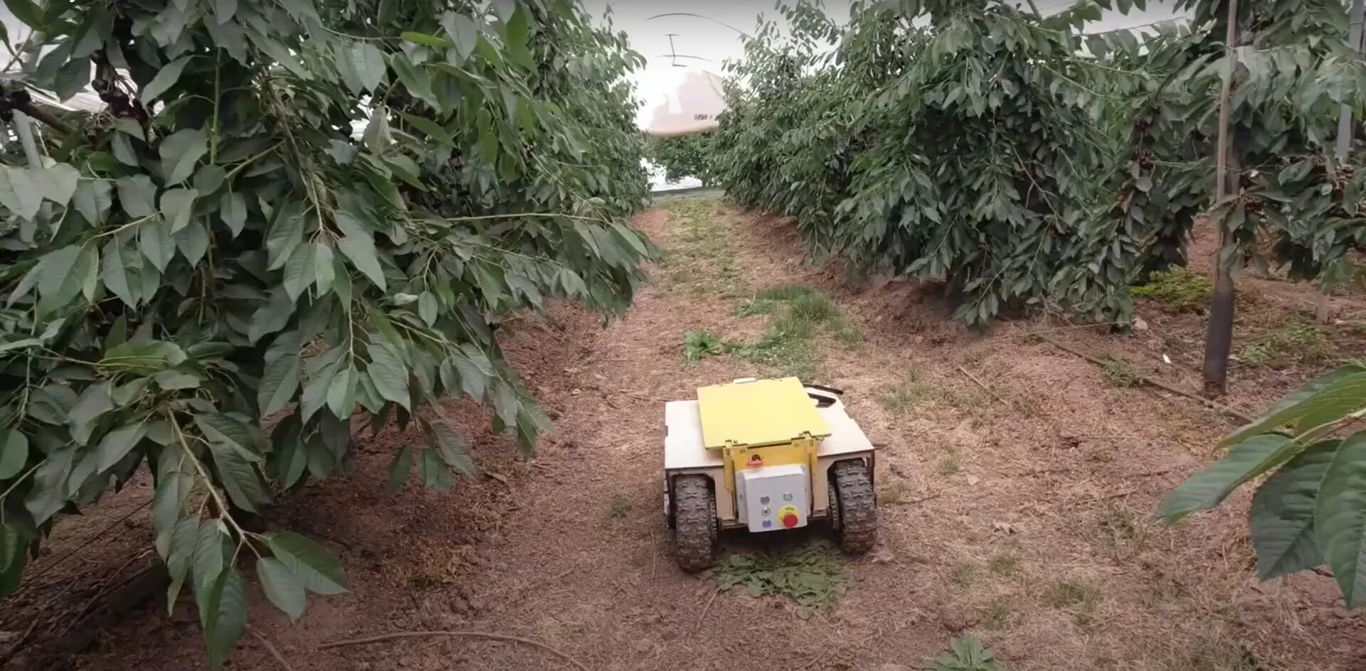 Navvy Video Base 1.jpg